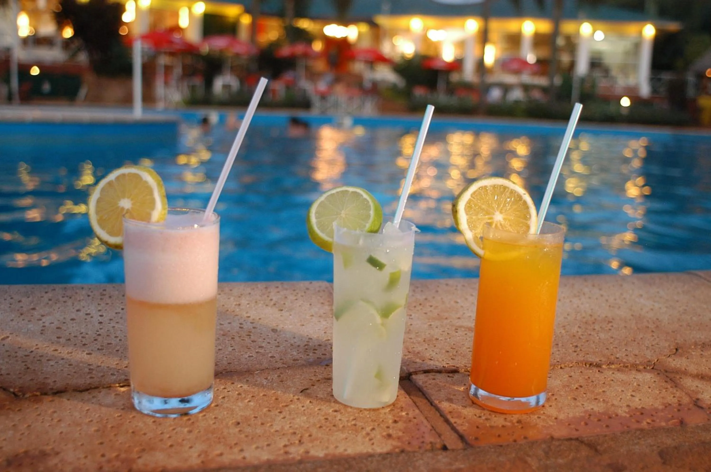 Garden in Beer Hotel Iguazú