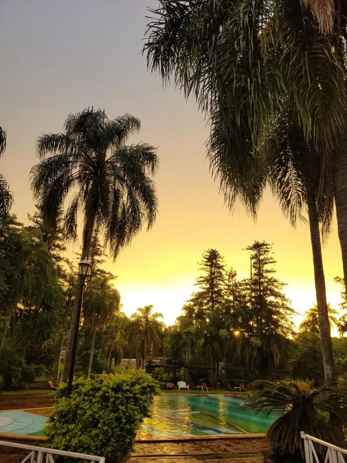 Spring in Beer Hotel Iguazú