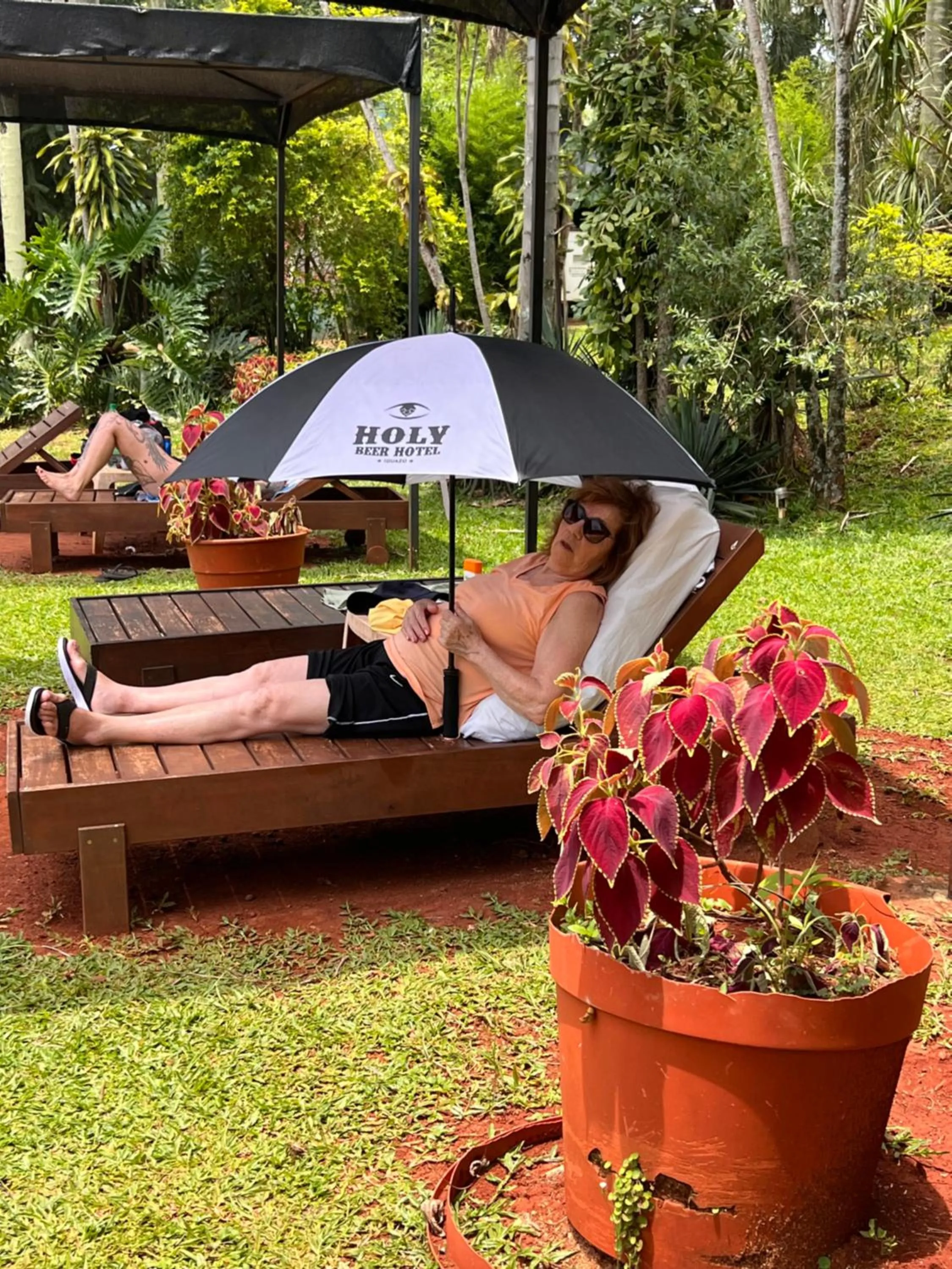 Spring in Beer Hotel Iguazú