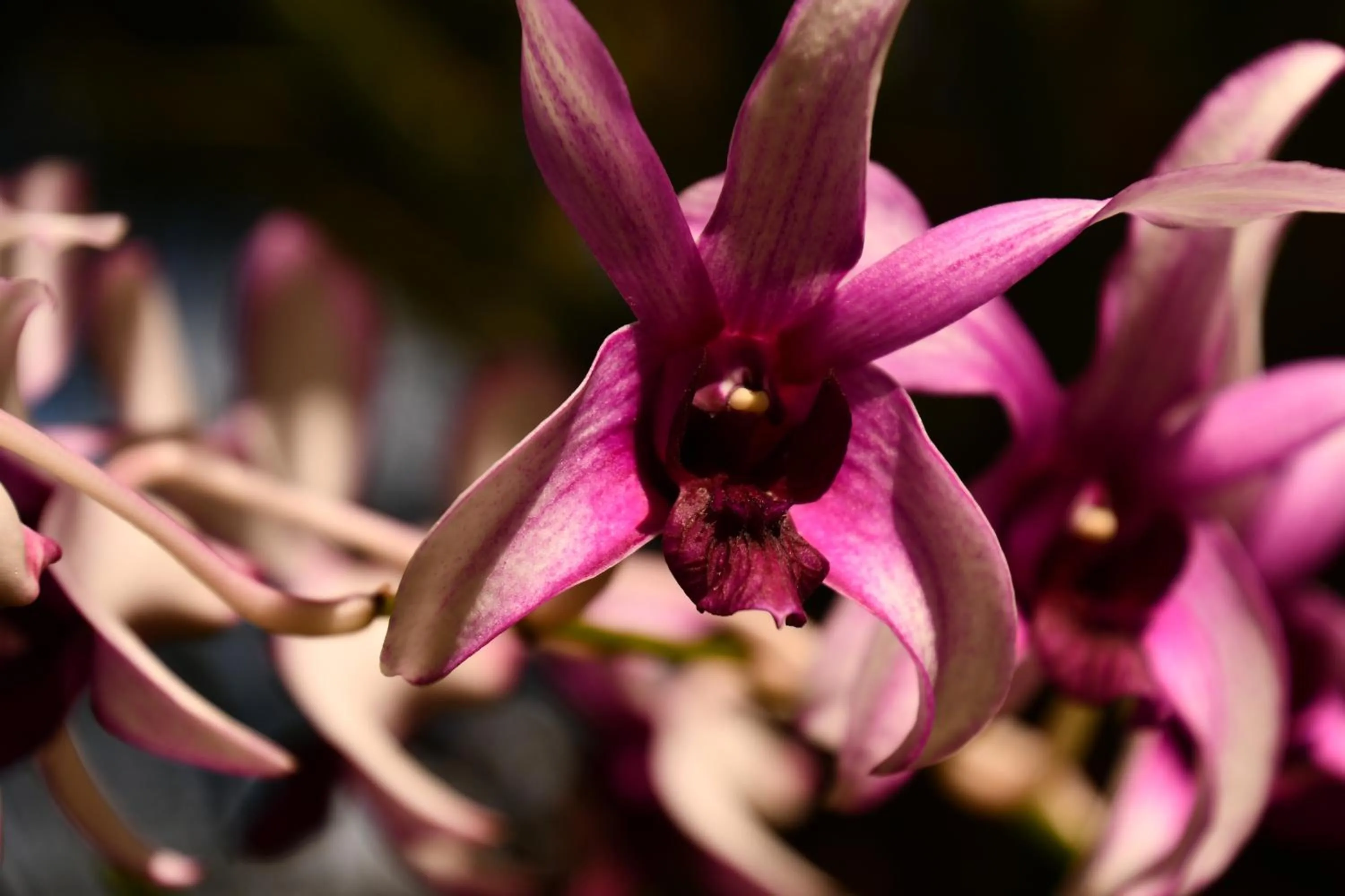 Natural landscape in Hotel Alisei