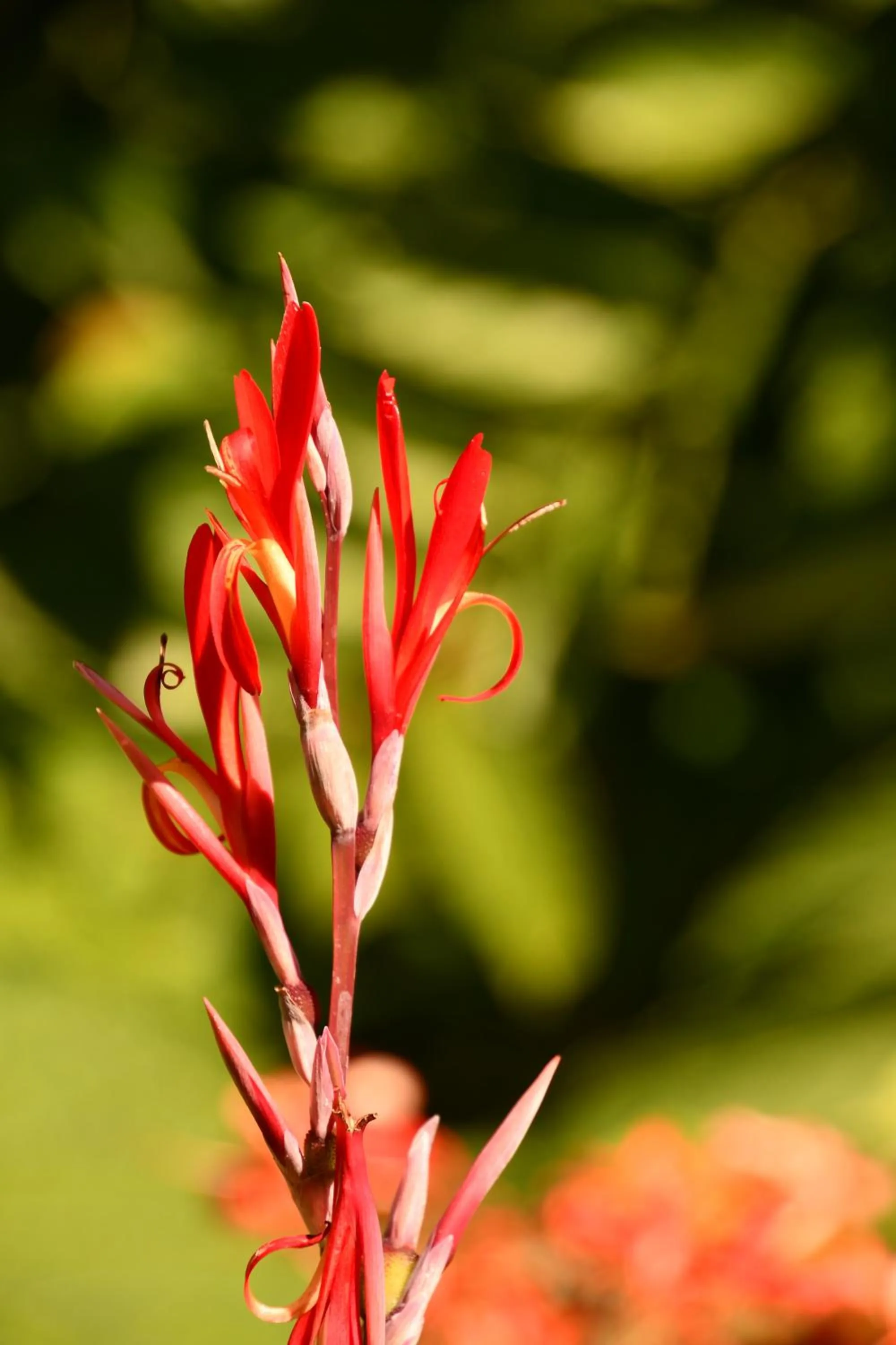 Natural landscape in Hotel Alisei