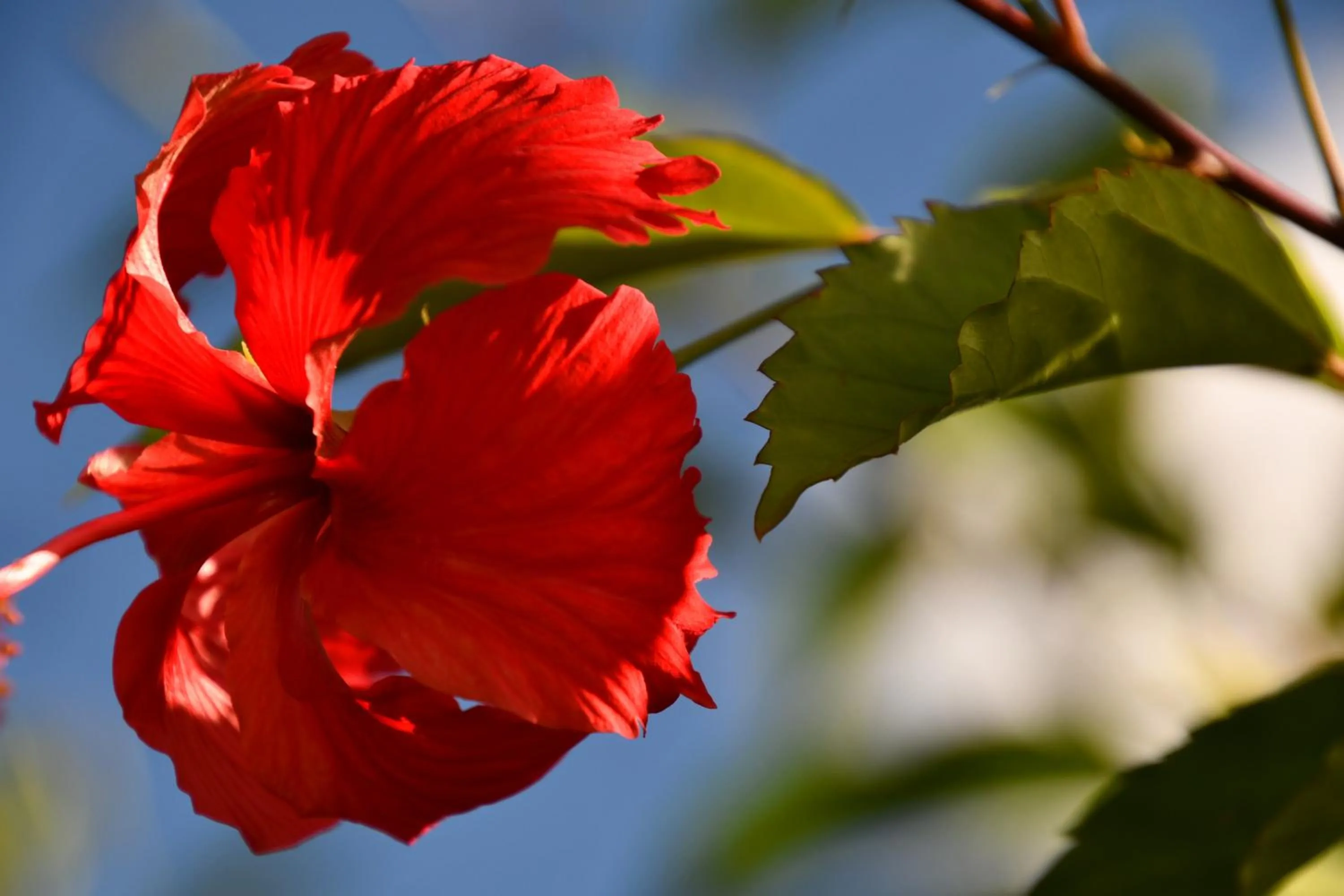 Natural landscape in Hotel Alisei