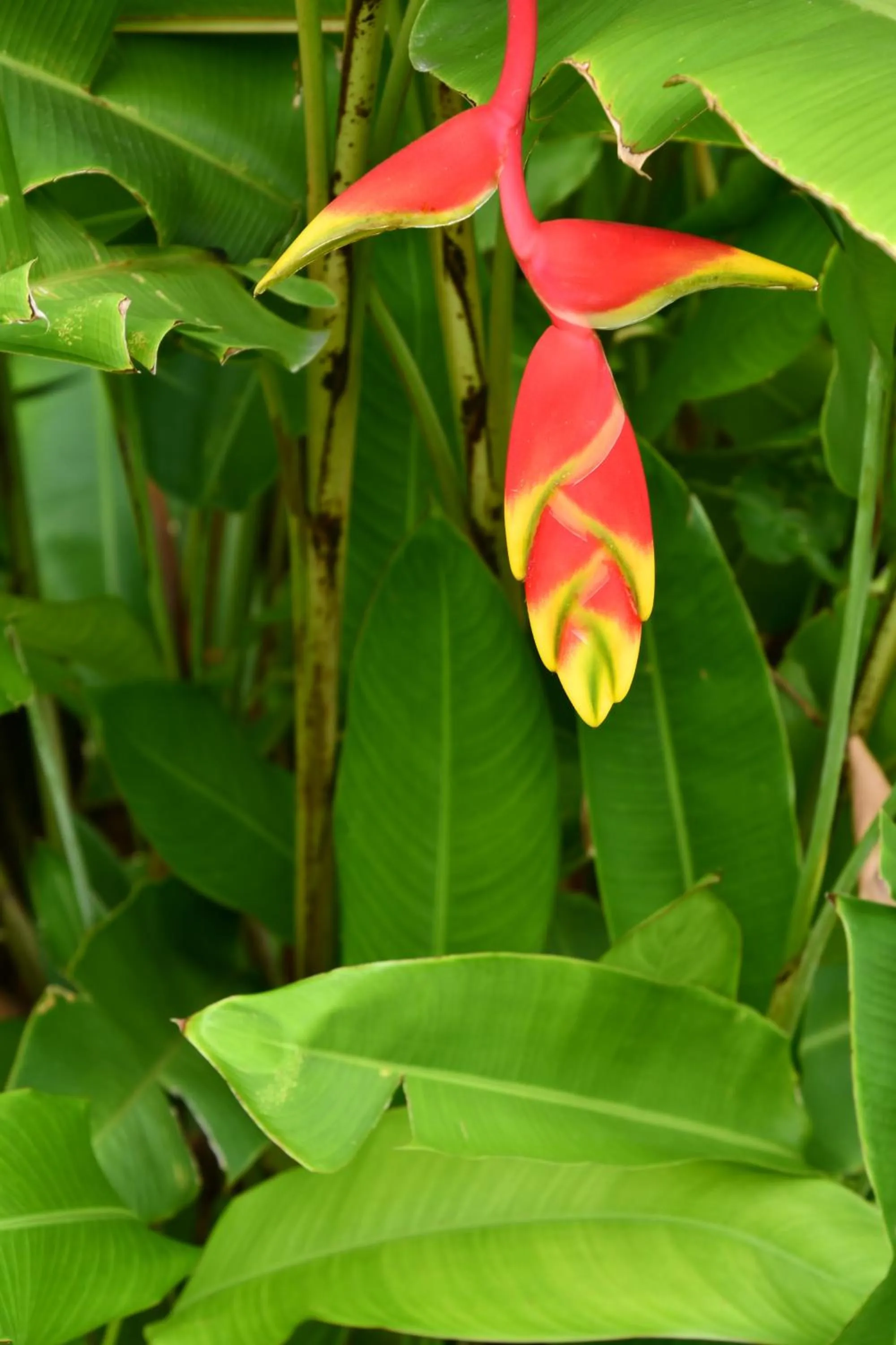 Natural landscape in Hotel Alisei
