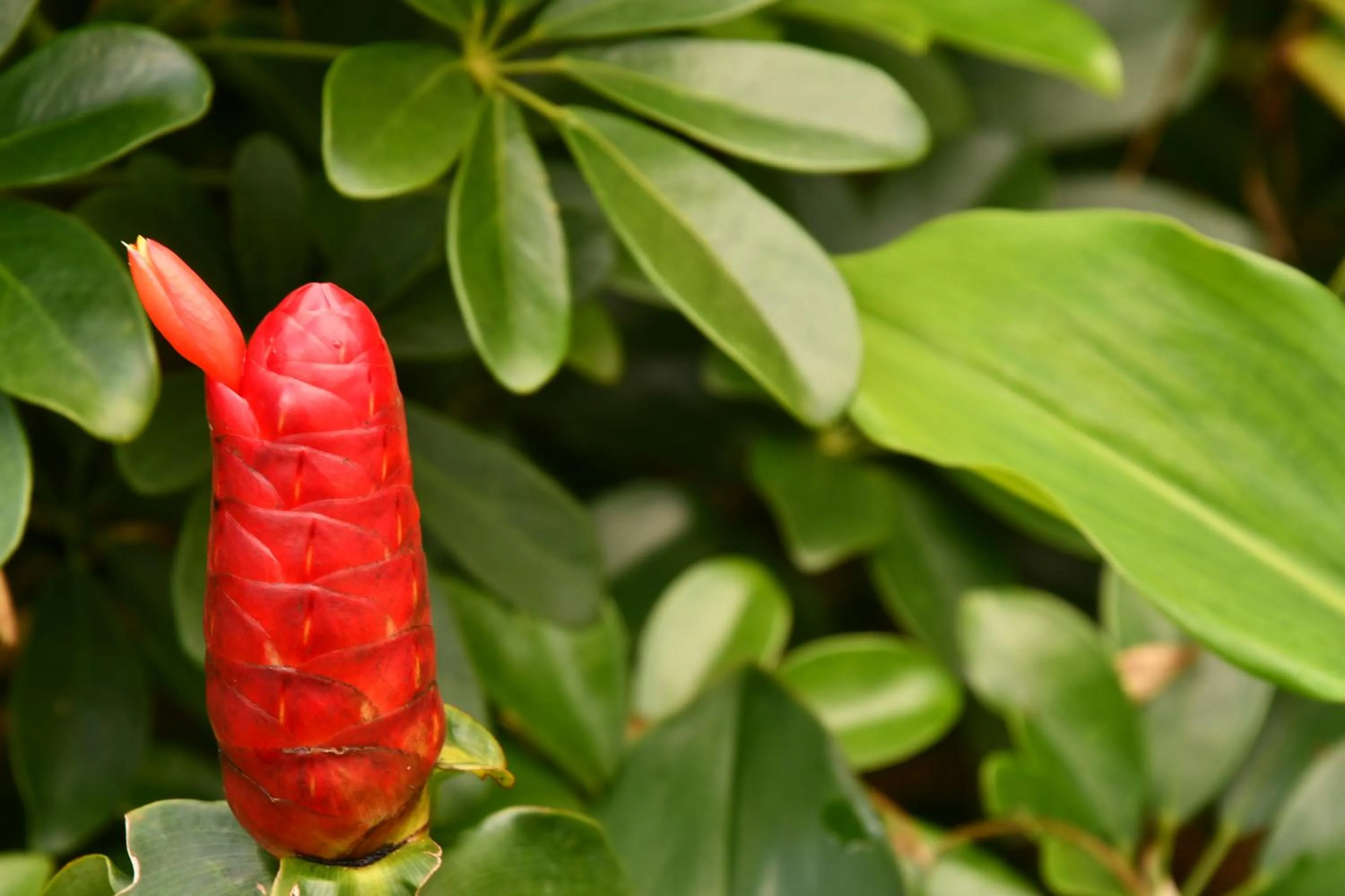 Natural landscape in Hotel Alisei