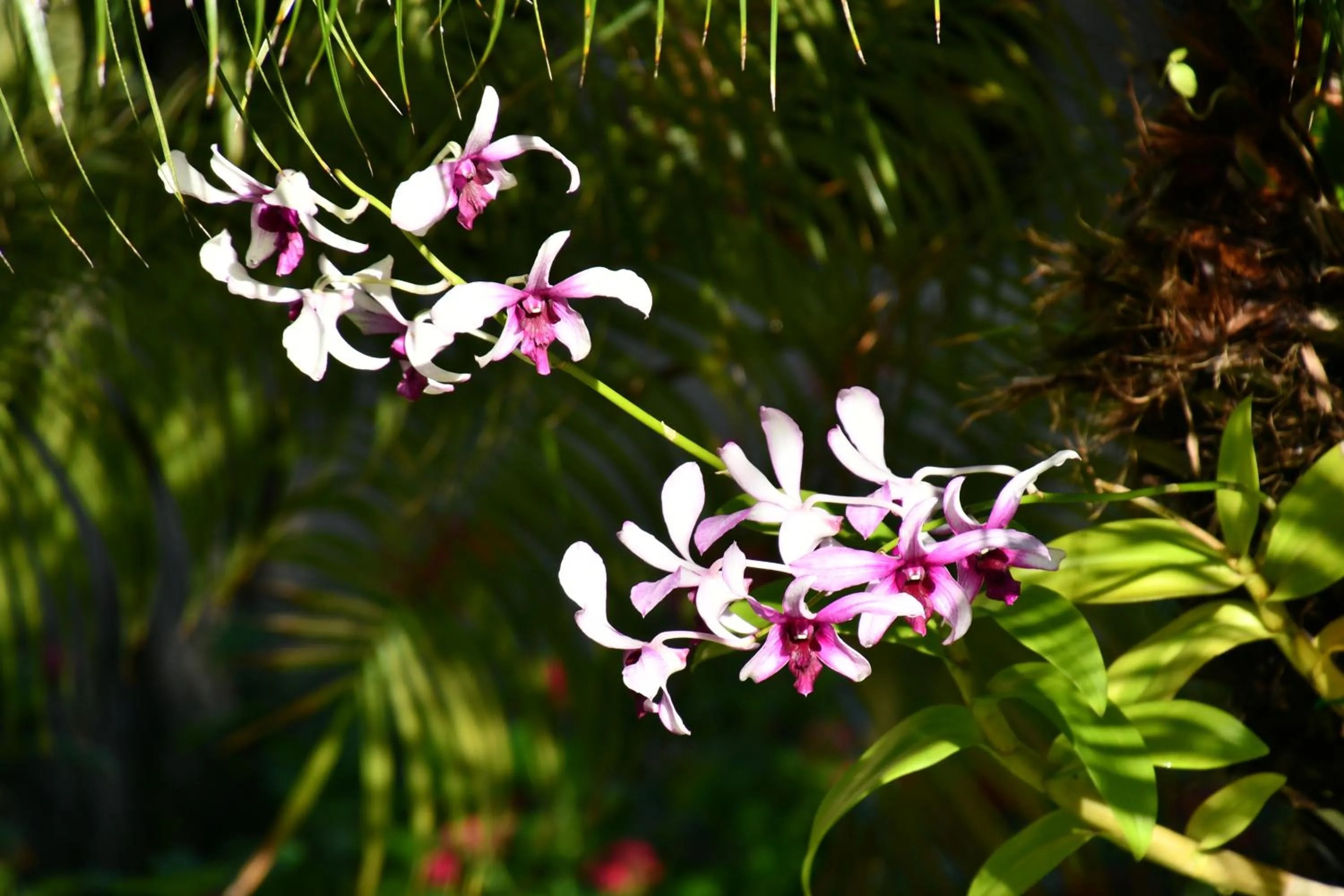 Natural landscape in Hotel Alisei