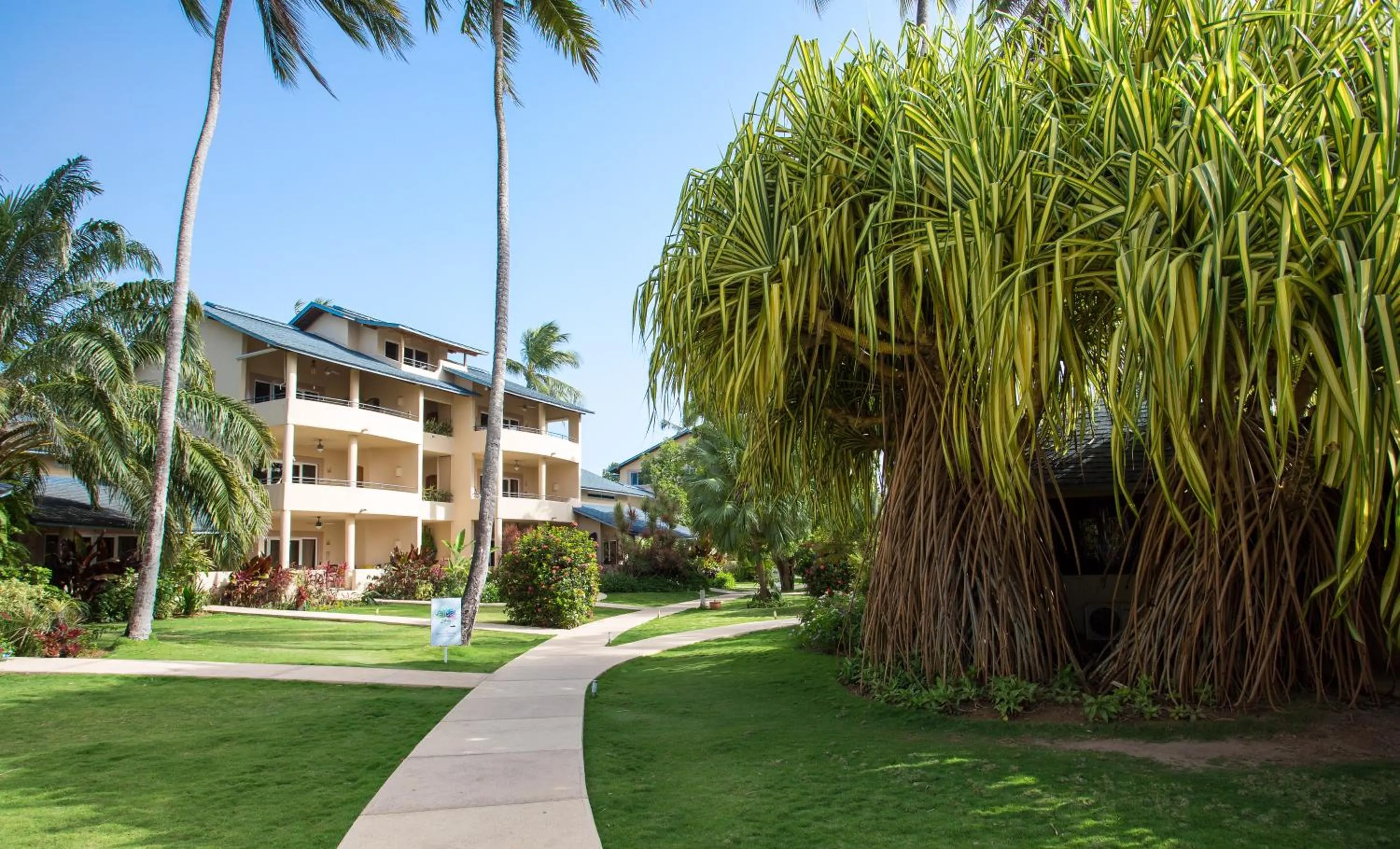 Garden in Hotel Alisei