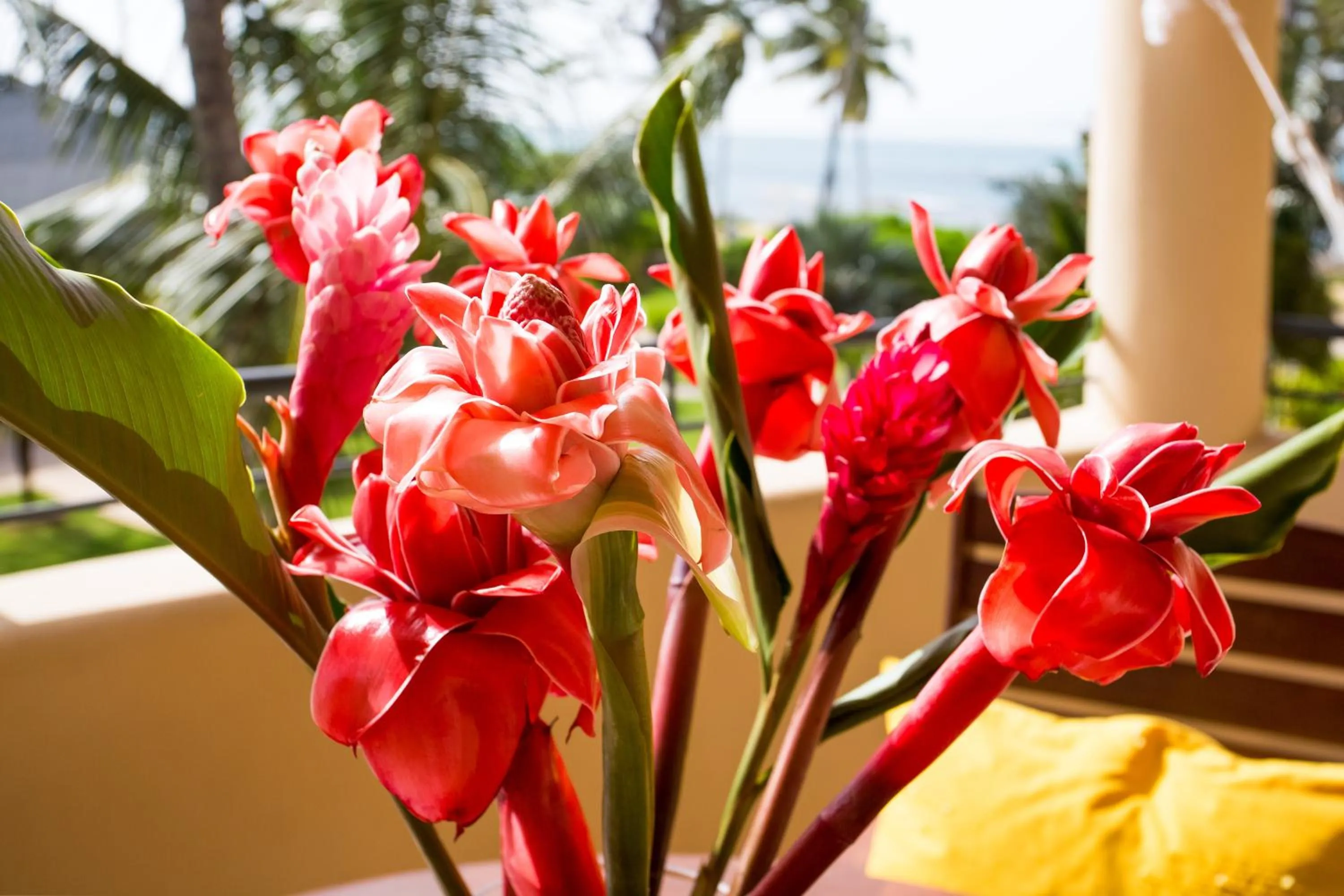 Other in Hotel Alisei