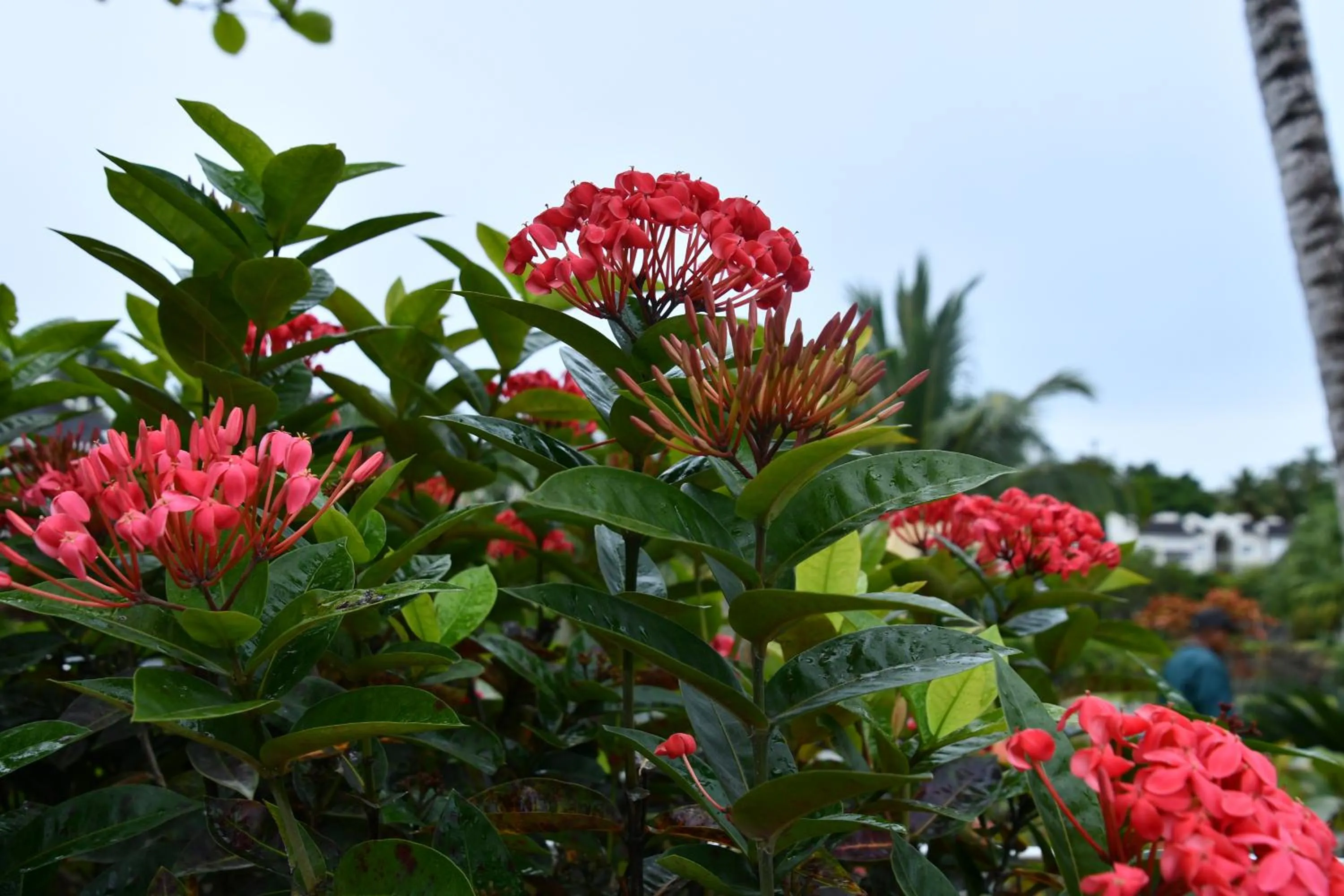 Natural landscape in Hotel Alisei