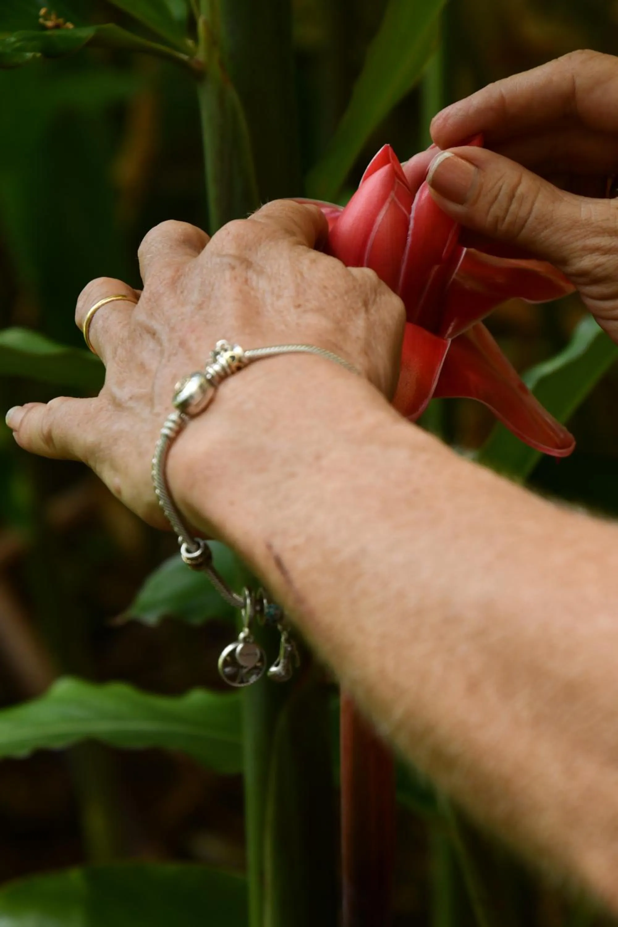 Natural landscape in Hotel Alisei