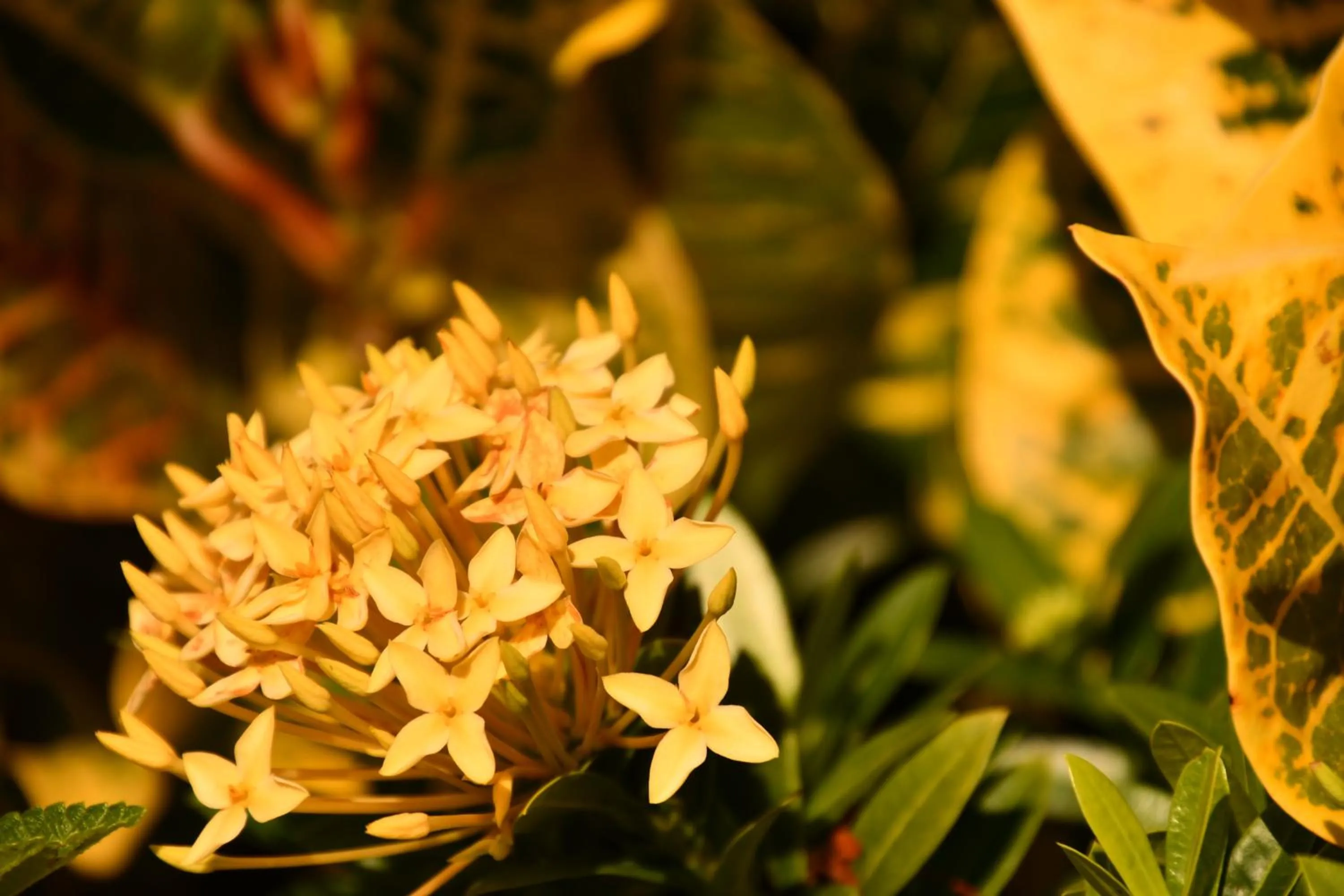 Natural landscape in Hotel Alisei