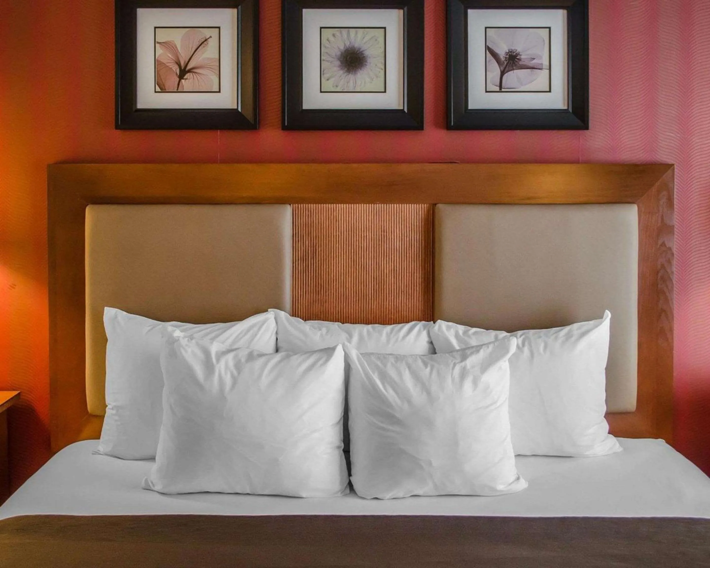 Photo of the whole room, Bed in Hotel Hanna