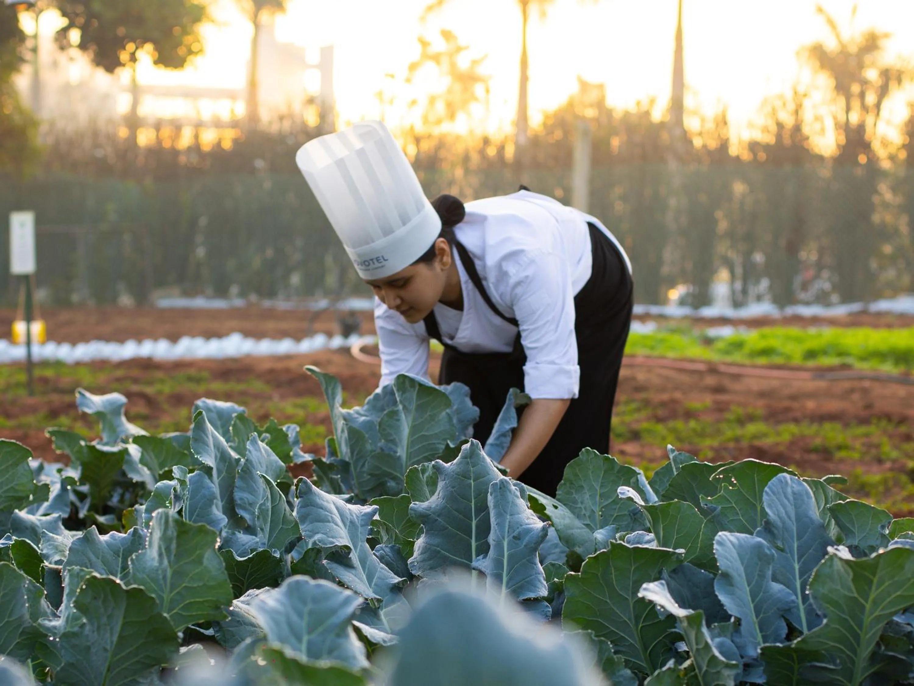 Garden in Novotel Hyderabad Airport