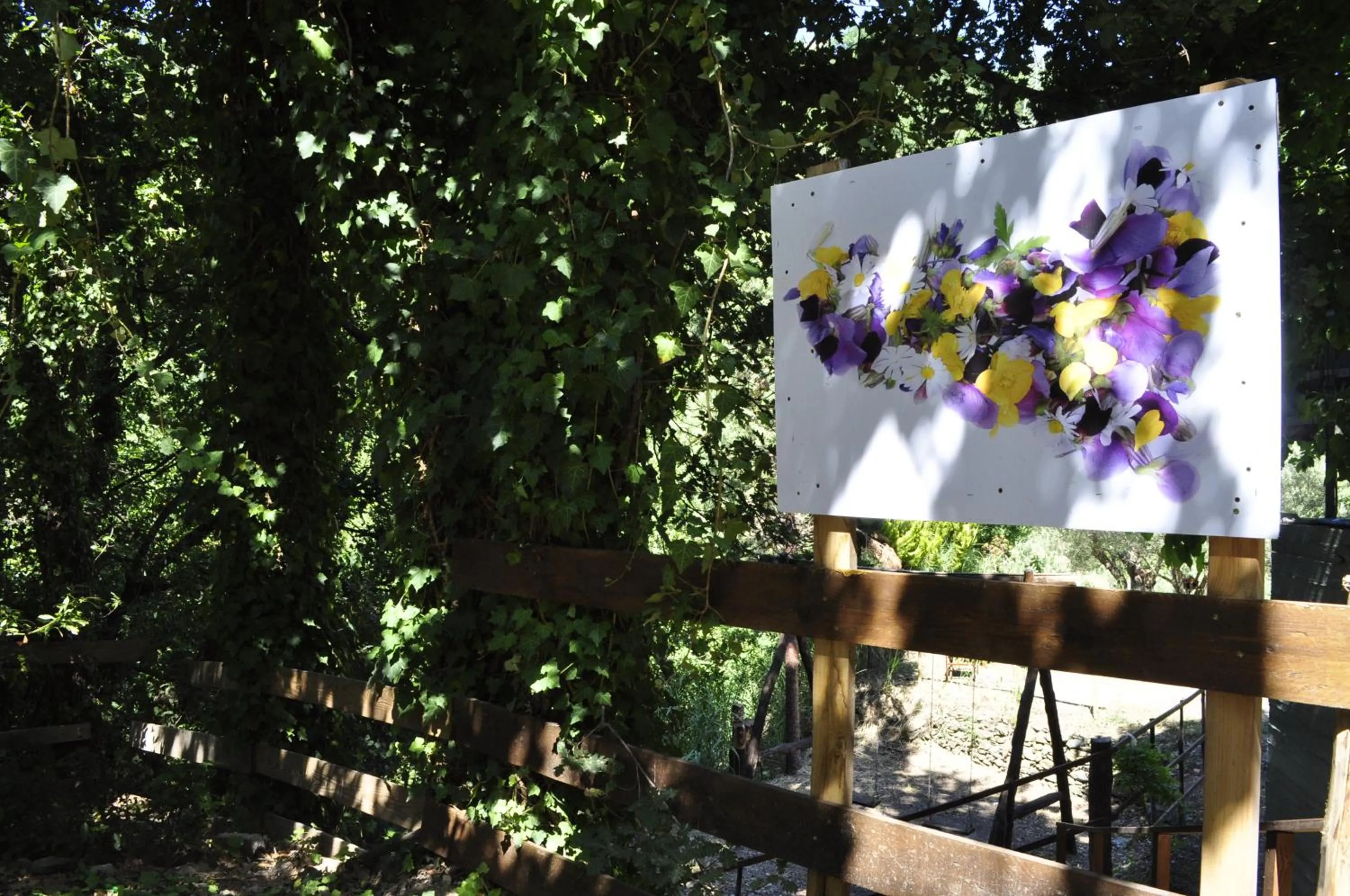 Natural landscape in Borgo San Francesco