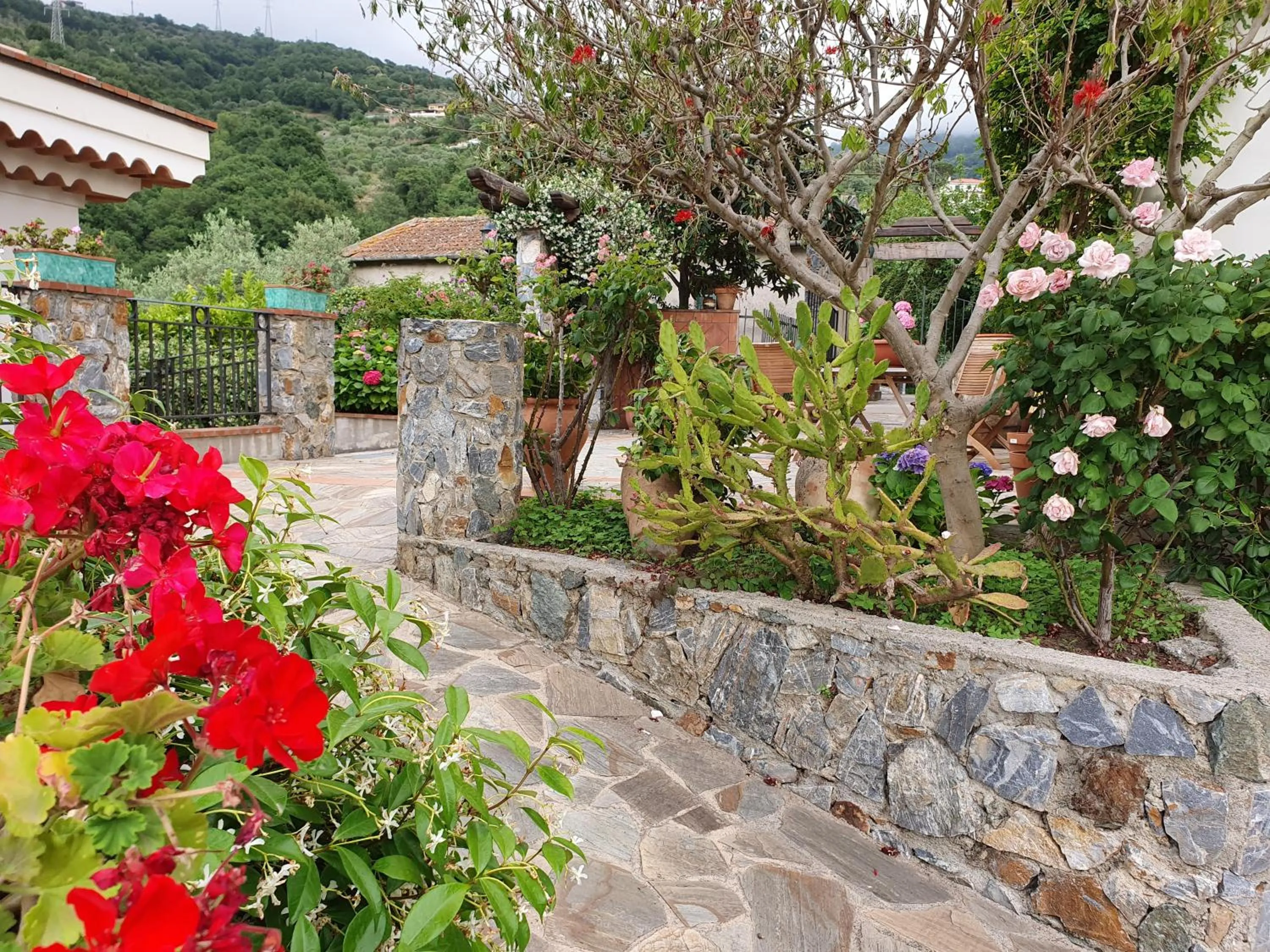 Natural landscape in Borgo San Francesco
