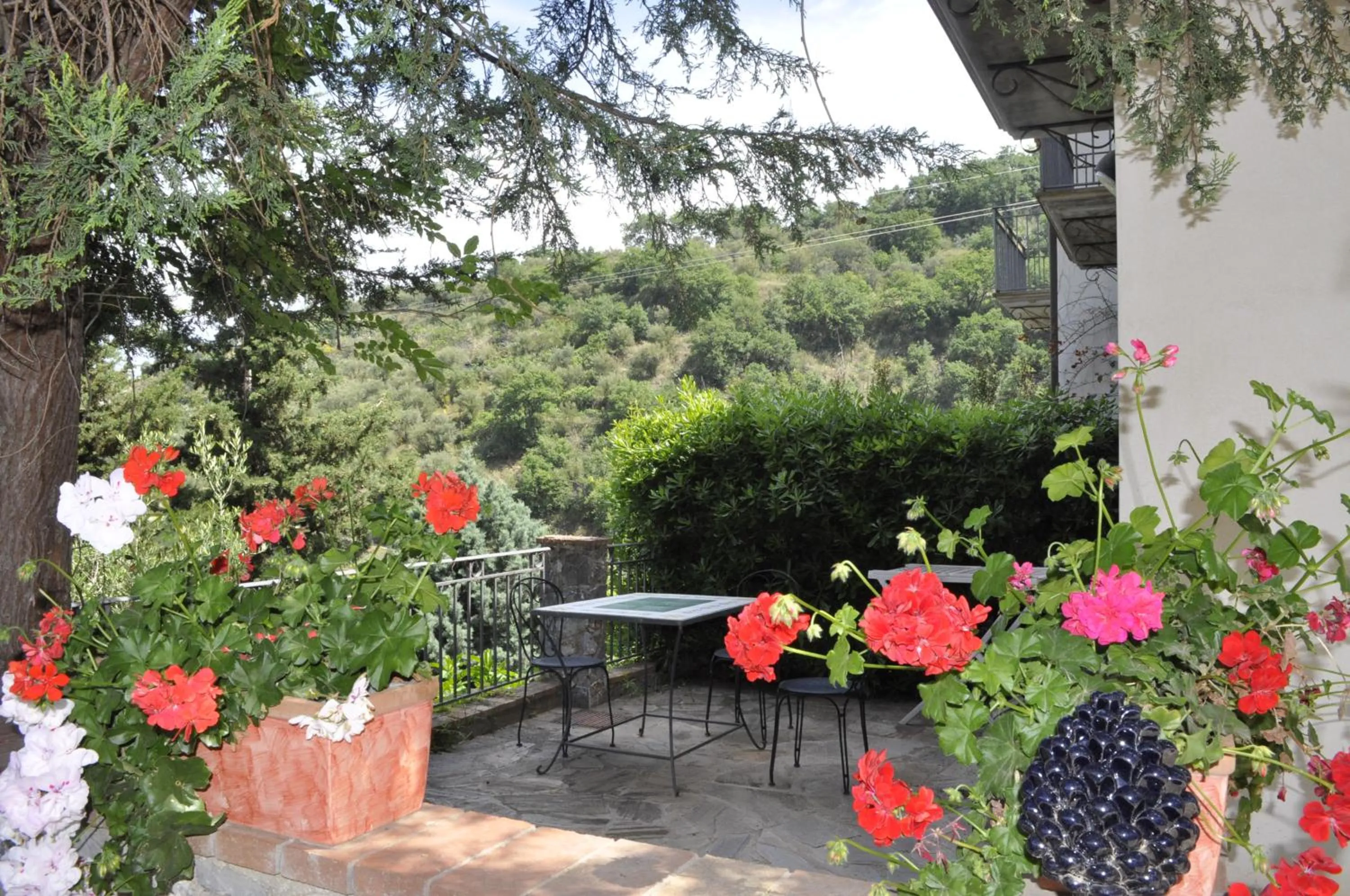 Patio in Borgo San Francesco