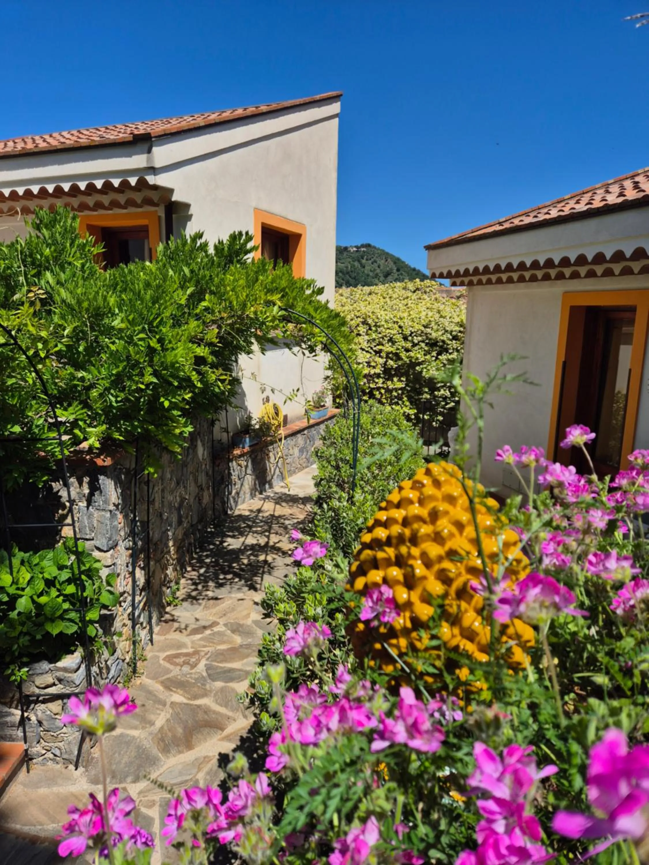 Garden in Borgo San Francesco