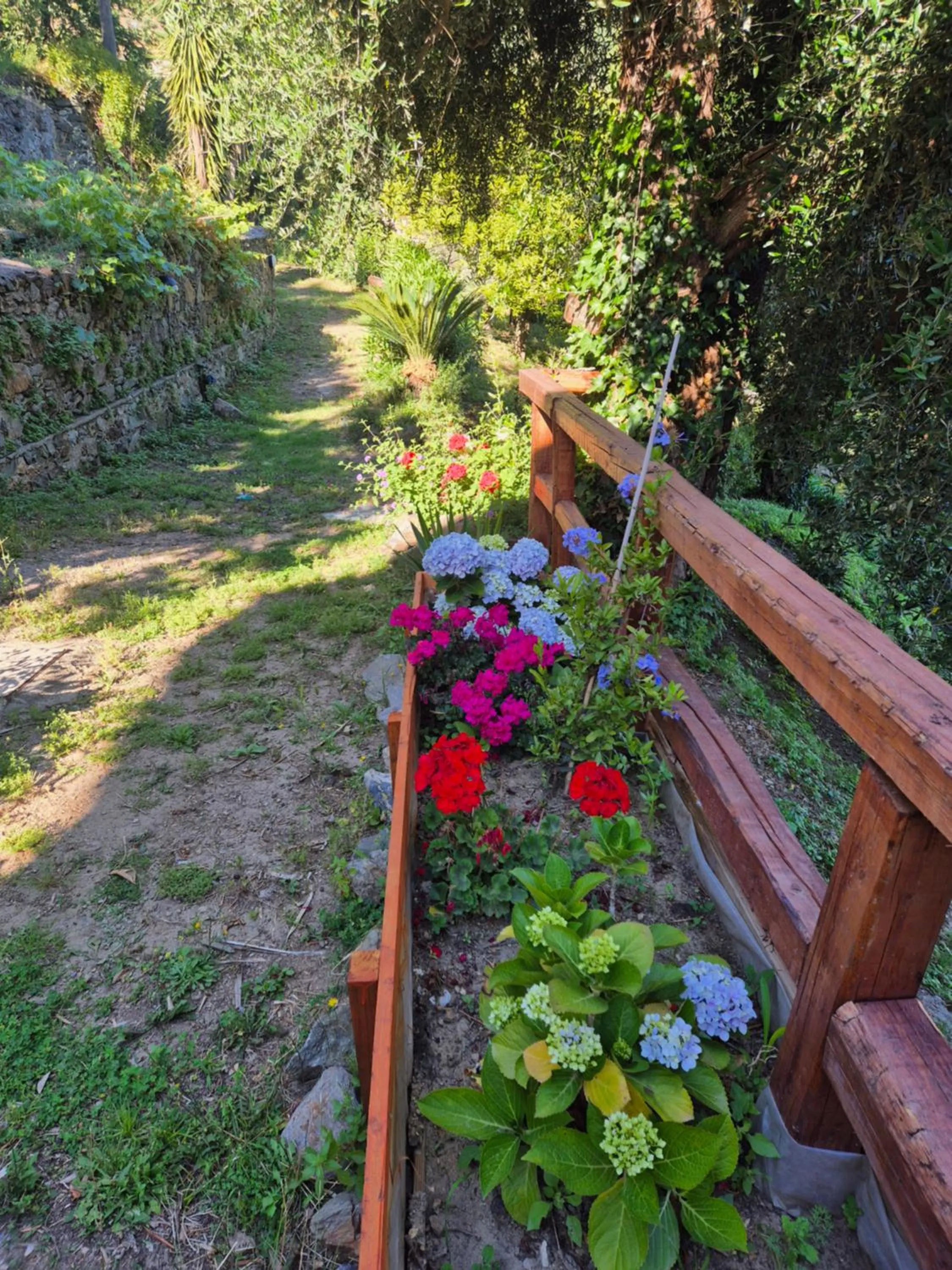 Day in Borgo San Francesco