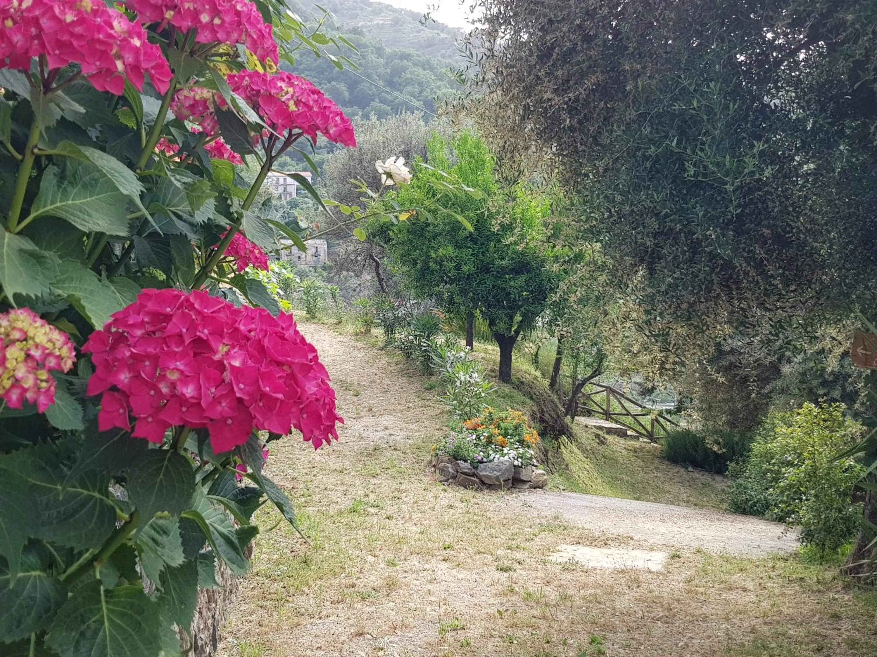 Garden in Borgo San Francesco