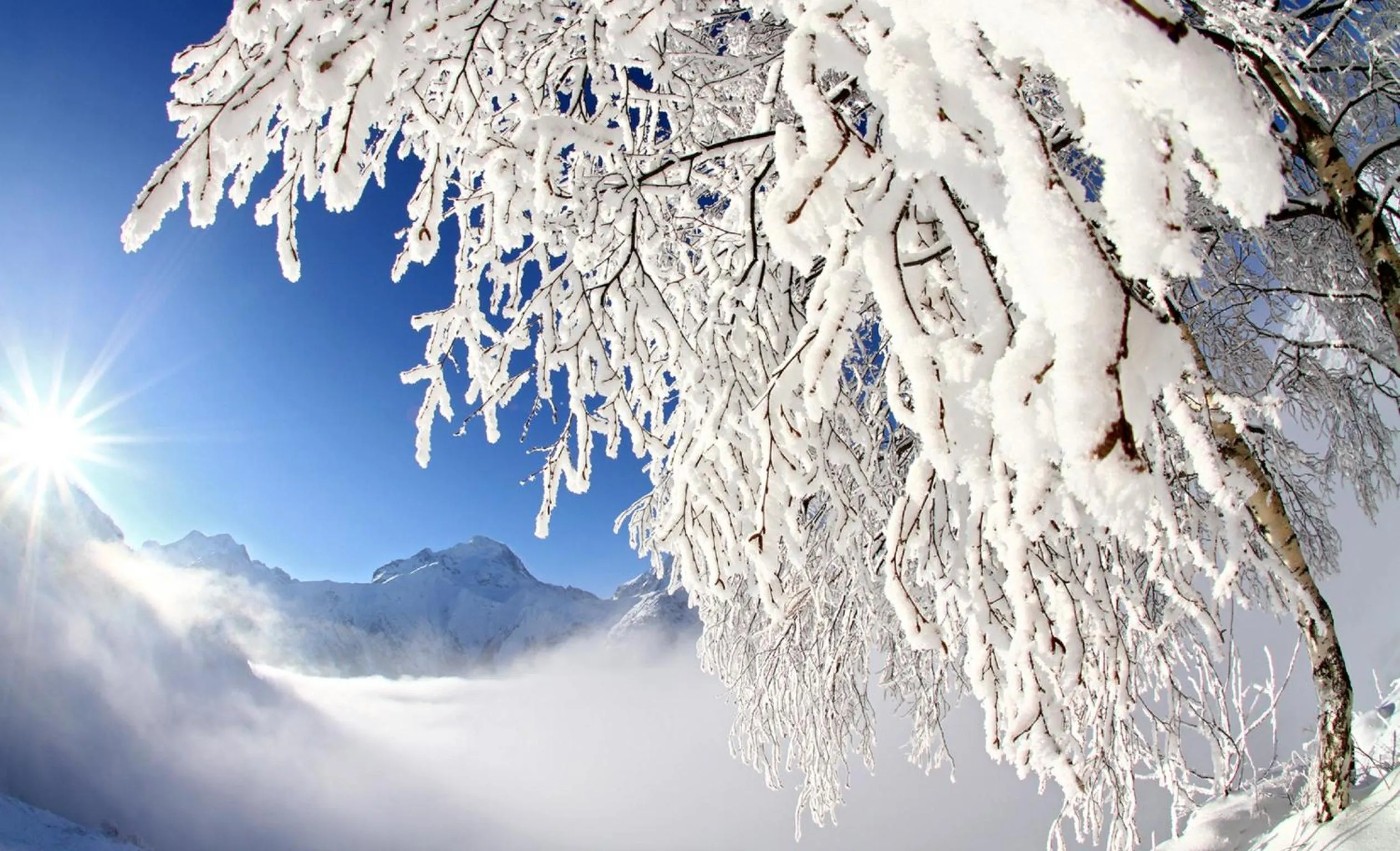 Natural landscape in Hotel Les Flocons