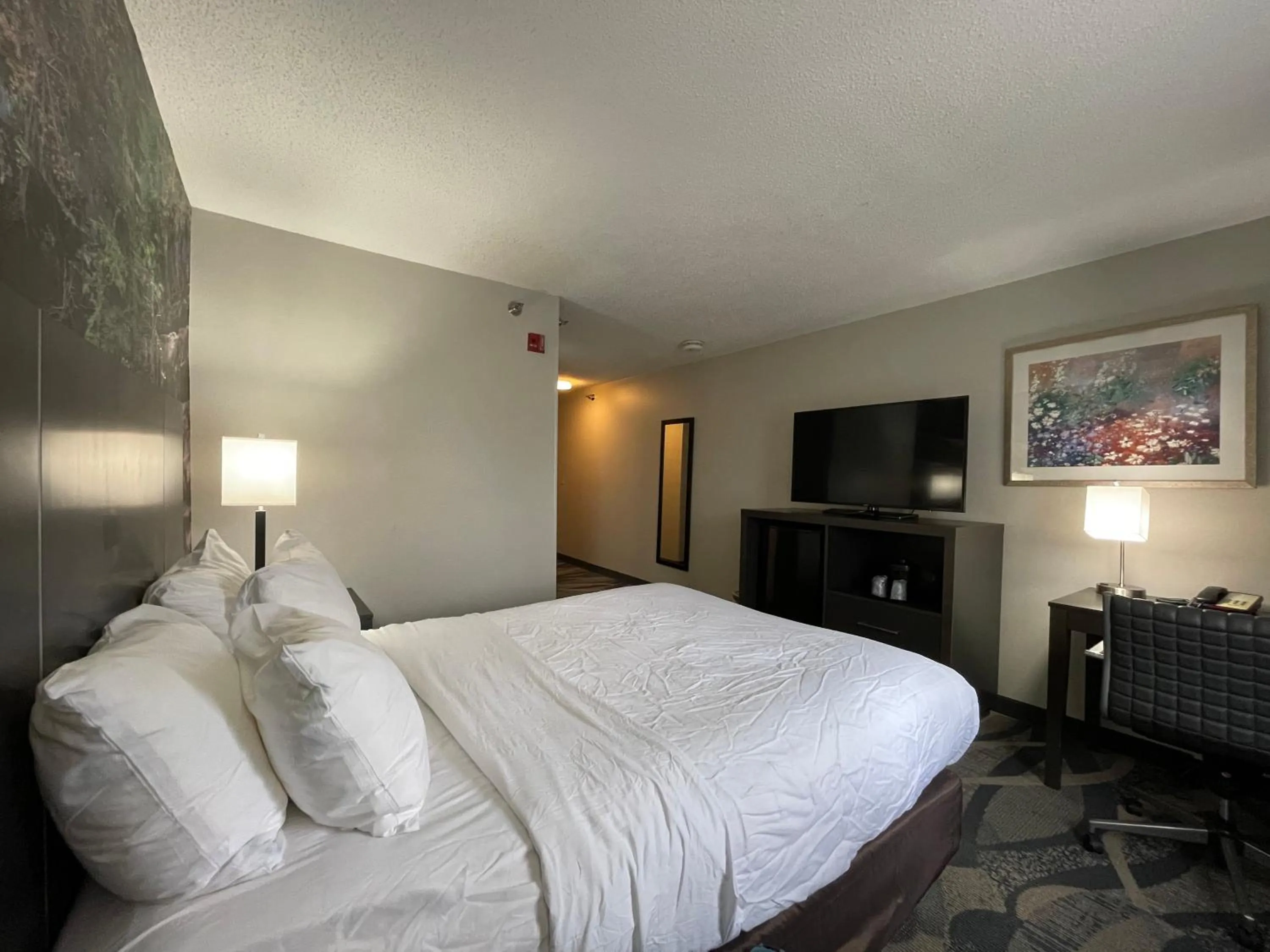 Bed in Clarion Inn Fairborn - Dayton near Wright Patterson