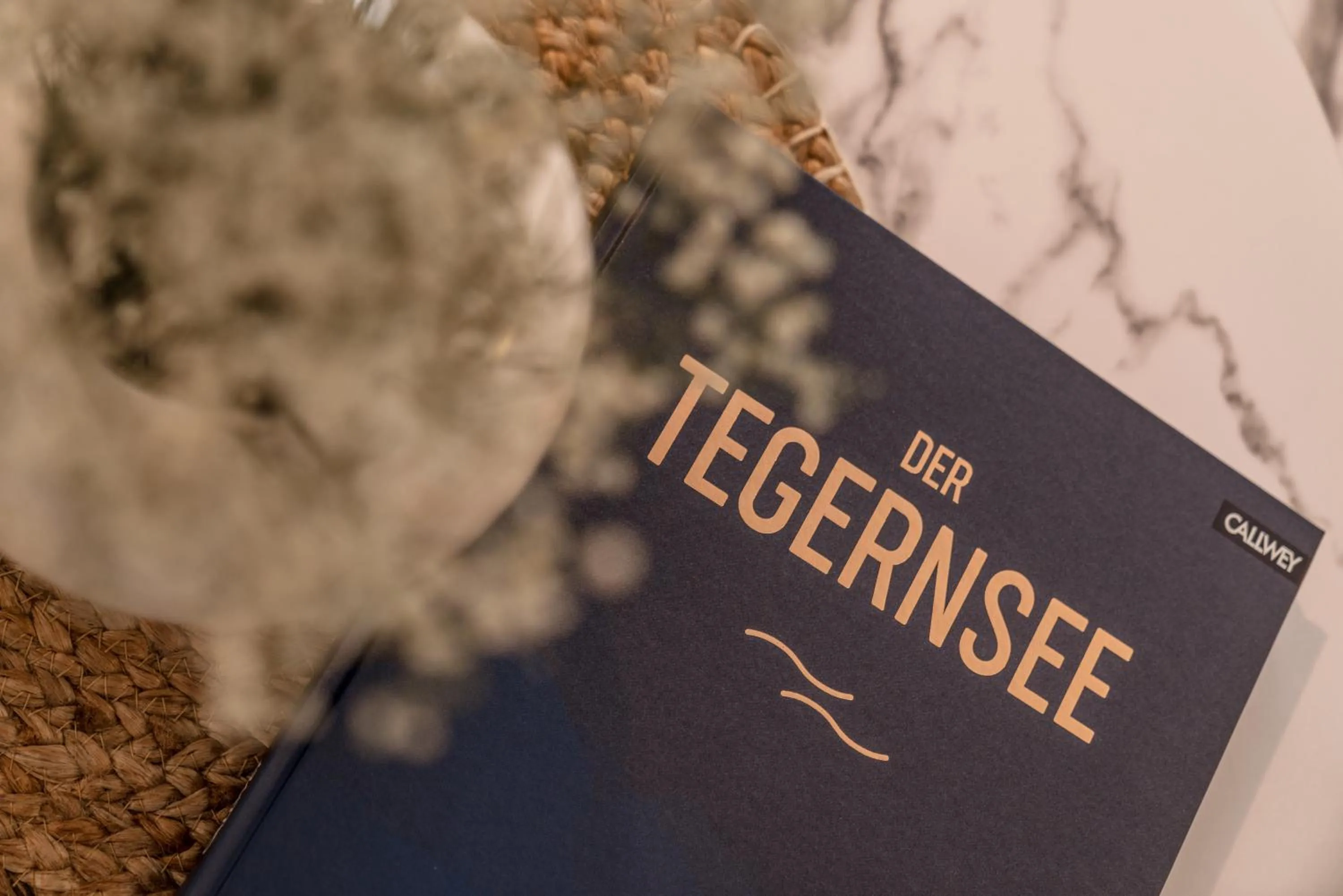 Logo/Certificate/Sign in Hotel Villa Lago