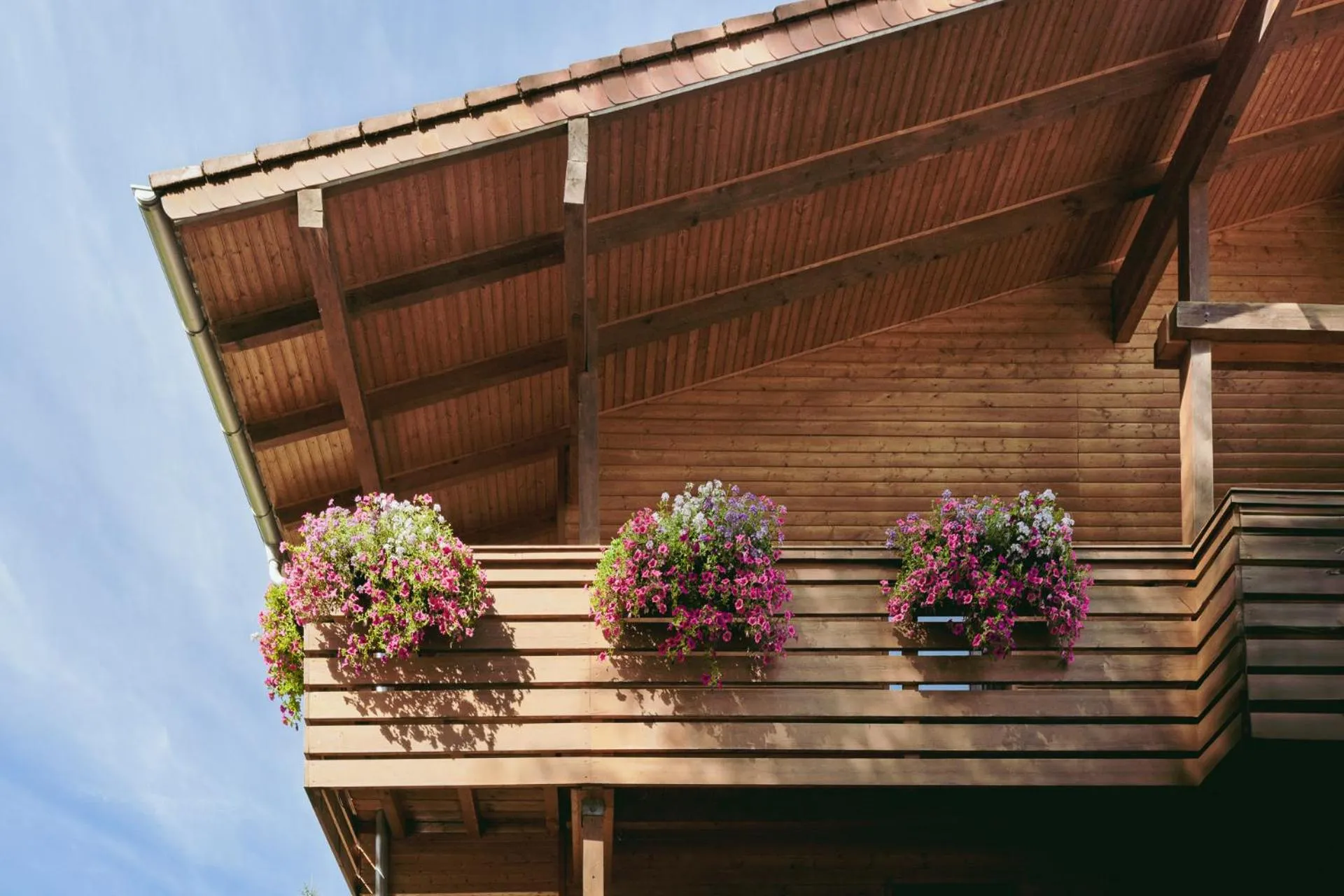 Property building in Hotel Villa Lago