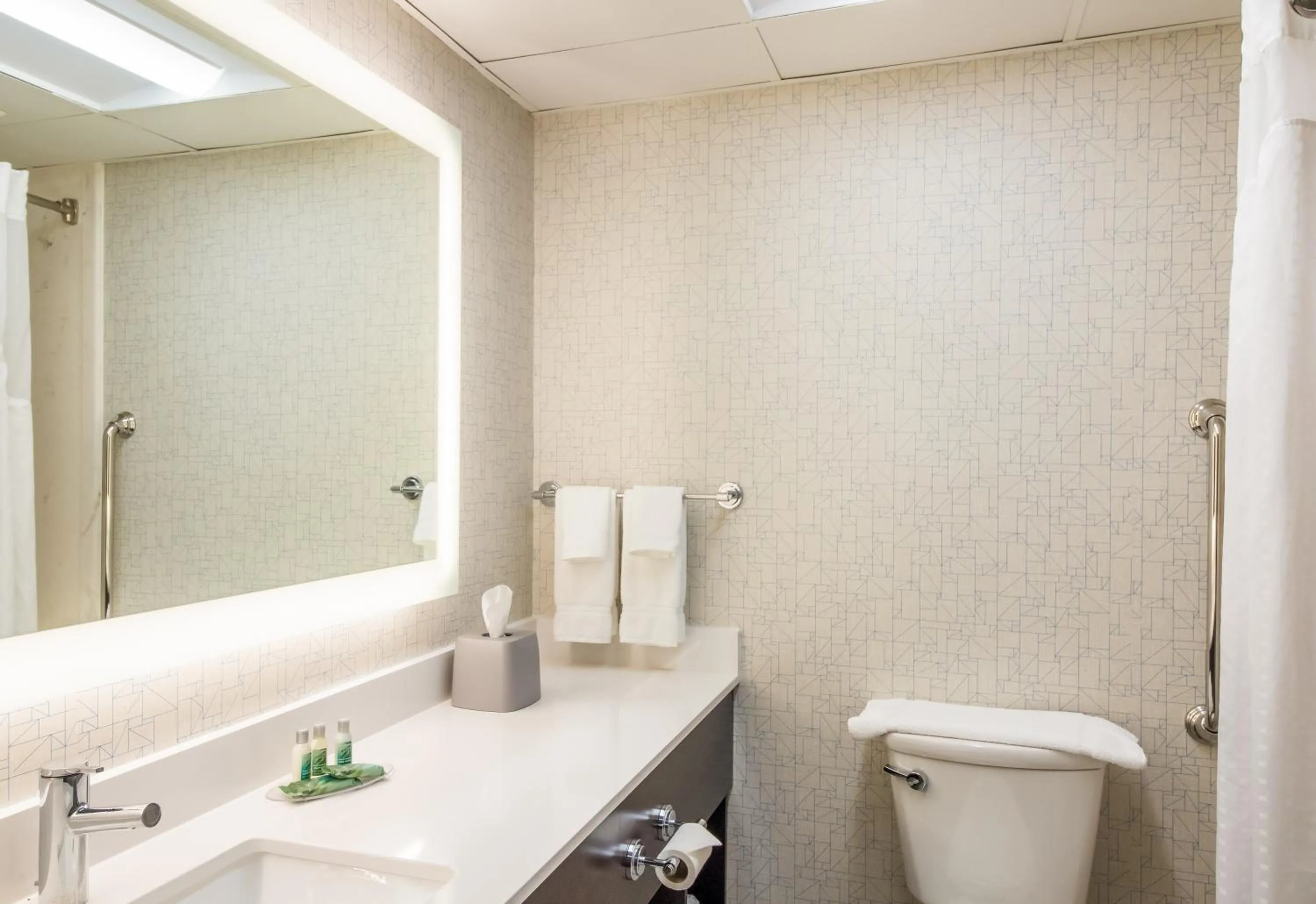 Toilet in Clarion Pointe New Bern