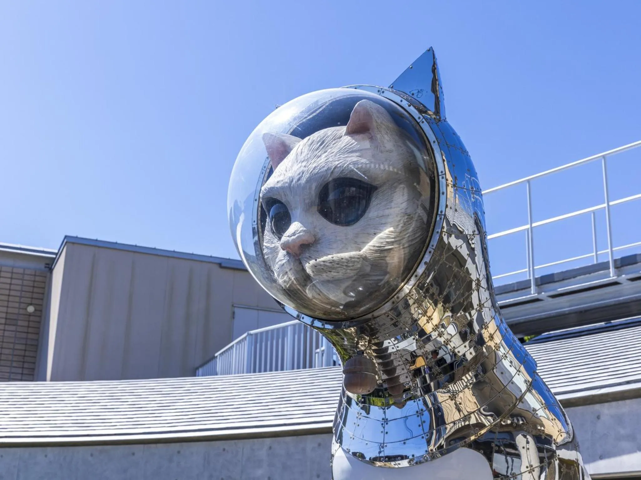 Day in WeBase KAMAKURA