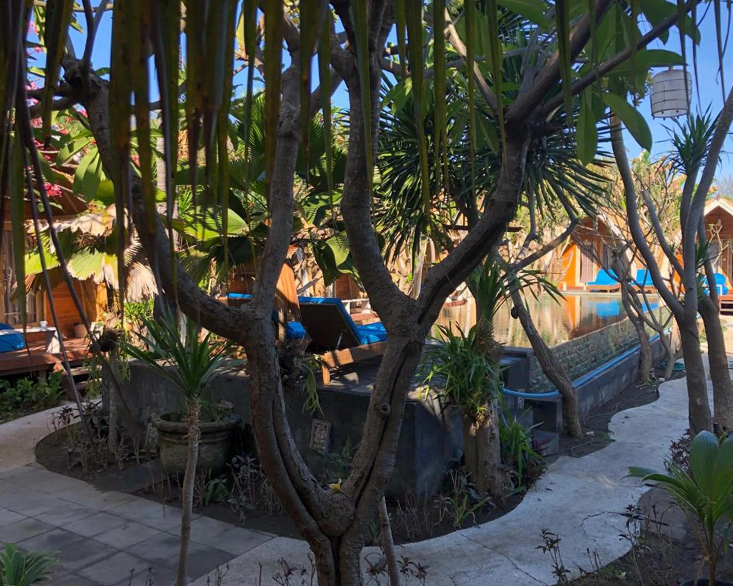 Swimming pool in Paradesa Villa