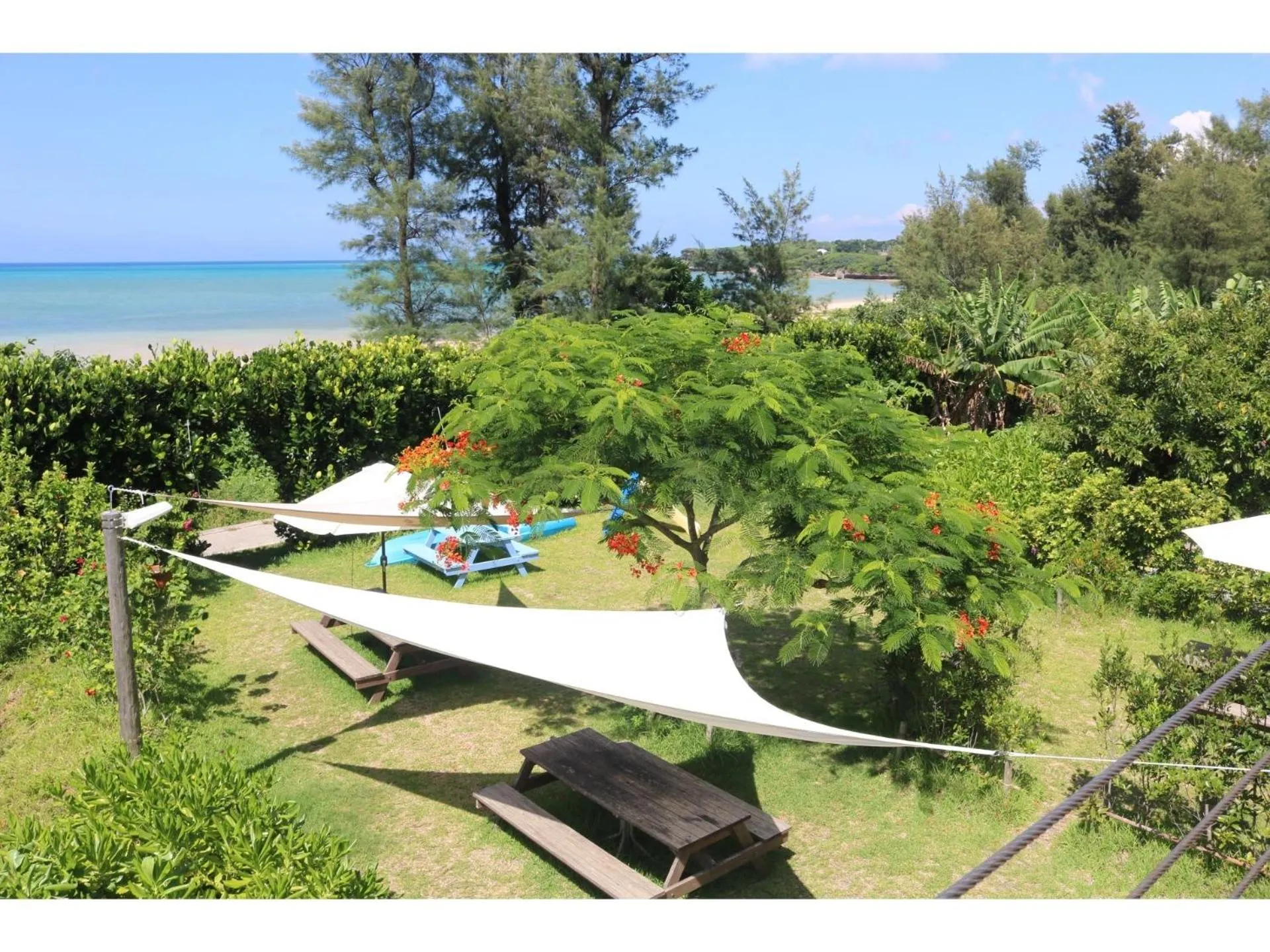 Garden in Arimabaru Beach Resort