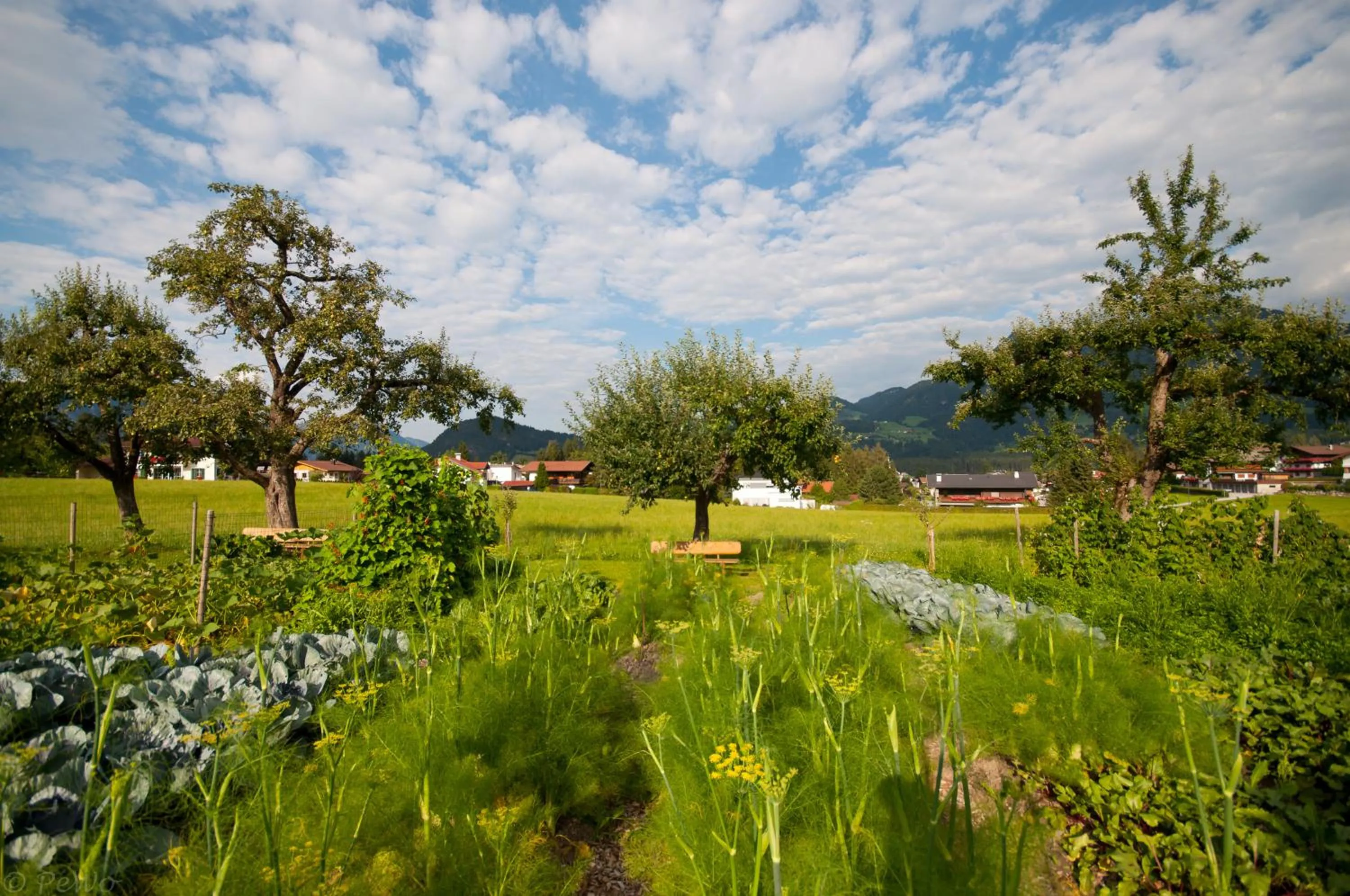 Natural landscape in Hotel Pirchnerhof
