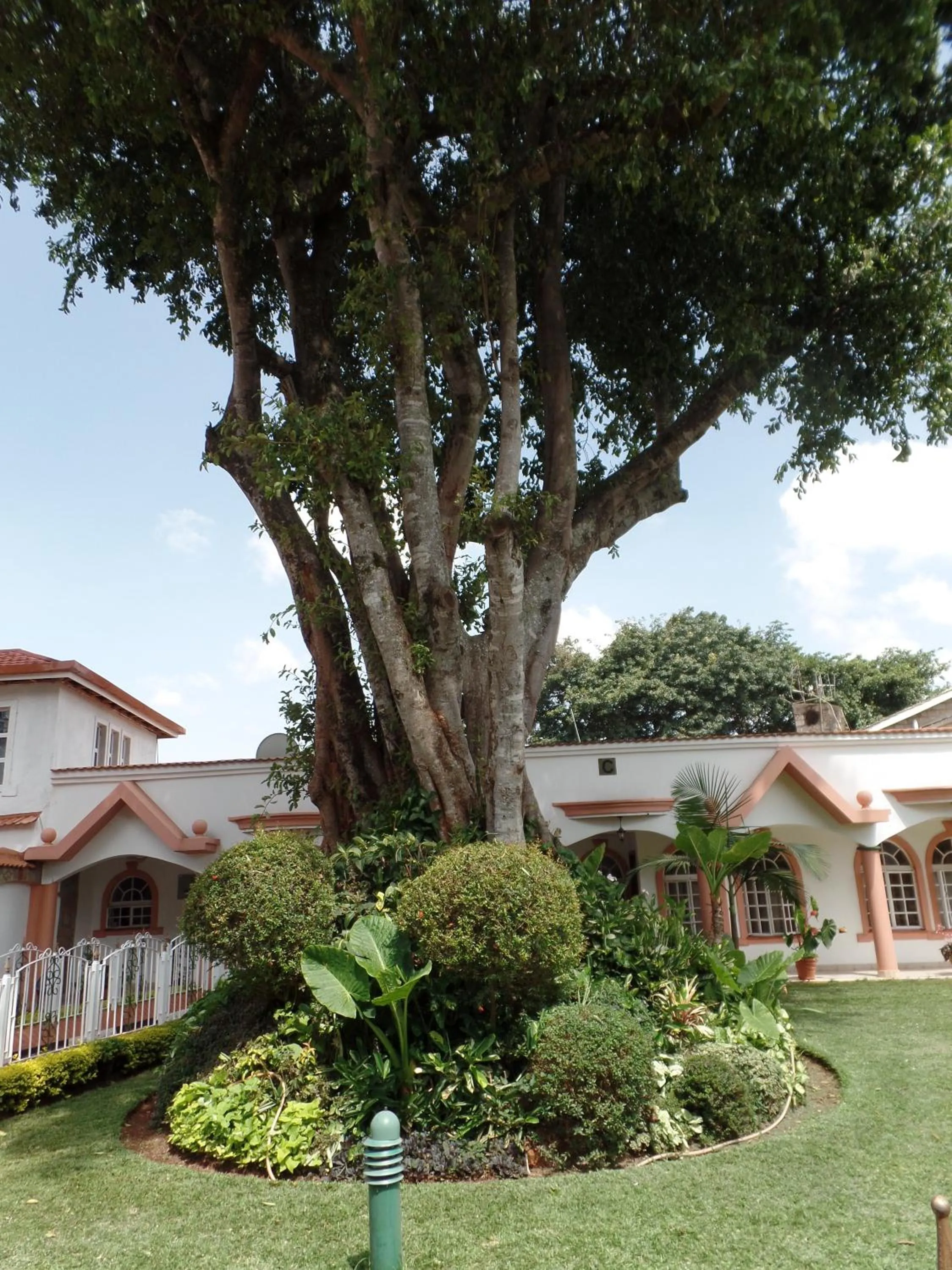 Natural landscape in Villa Leone Boutique Hotel