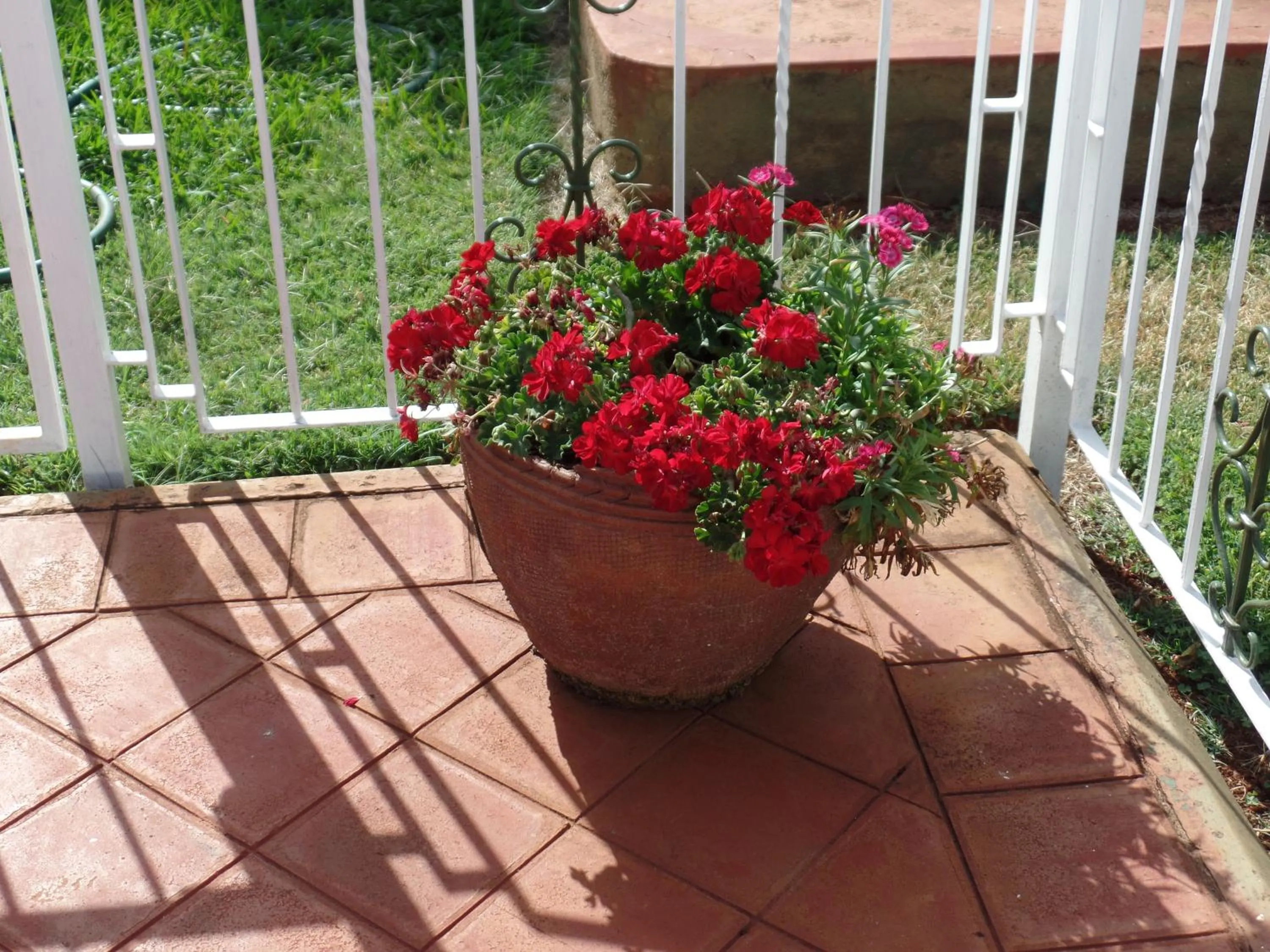 Garden view in Villa Leone Boutique Hotel