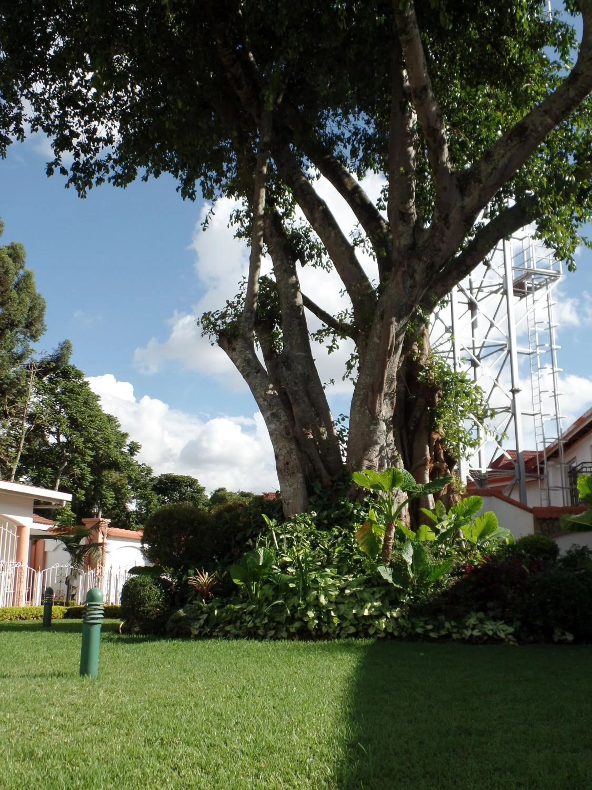 Natural landscape in Villa Leone Boutique Hotel