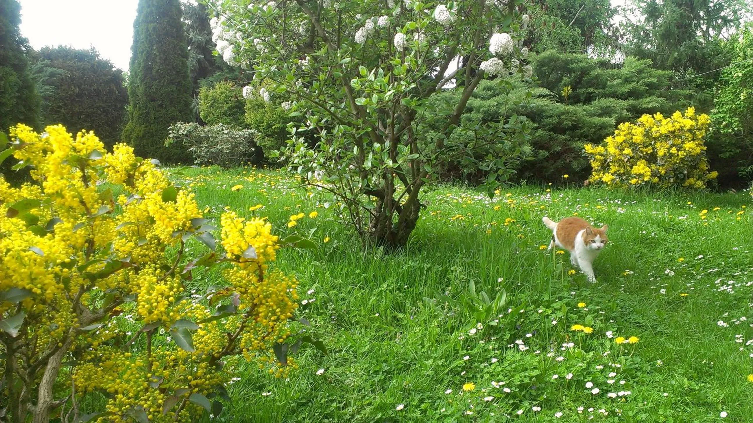Spring in Jägerheim Löbsal