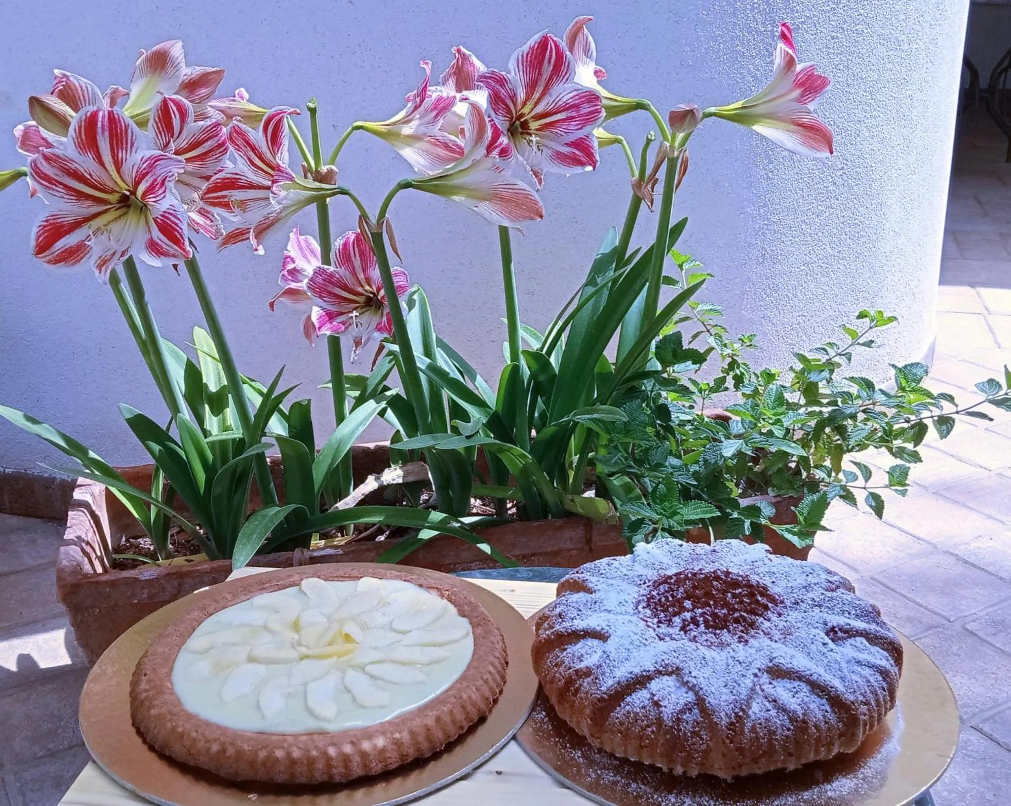 B & B Villa Flora