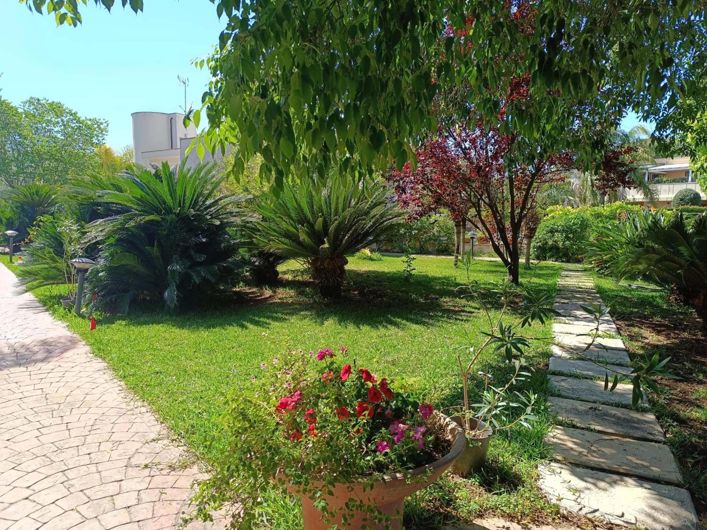 Garden in B & B Villa Flora