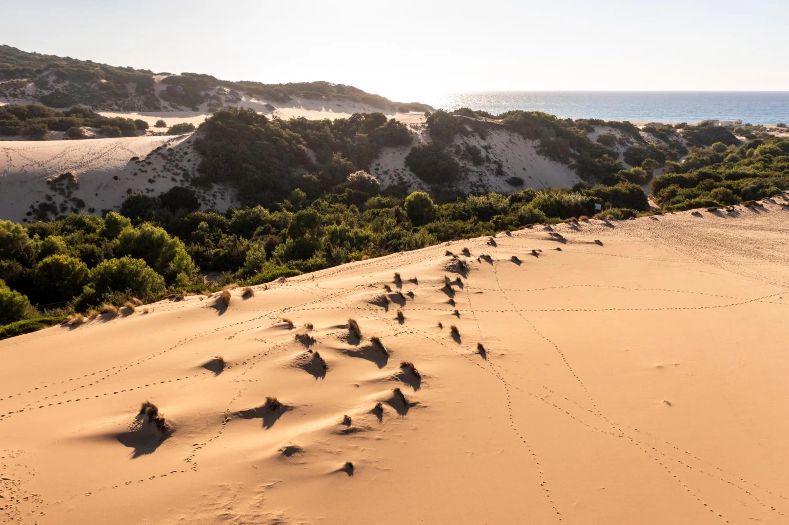 Nearby landmark in Hotel Le Dune Piscinas