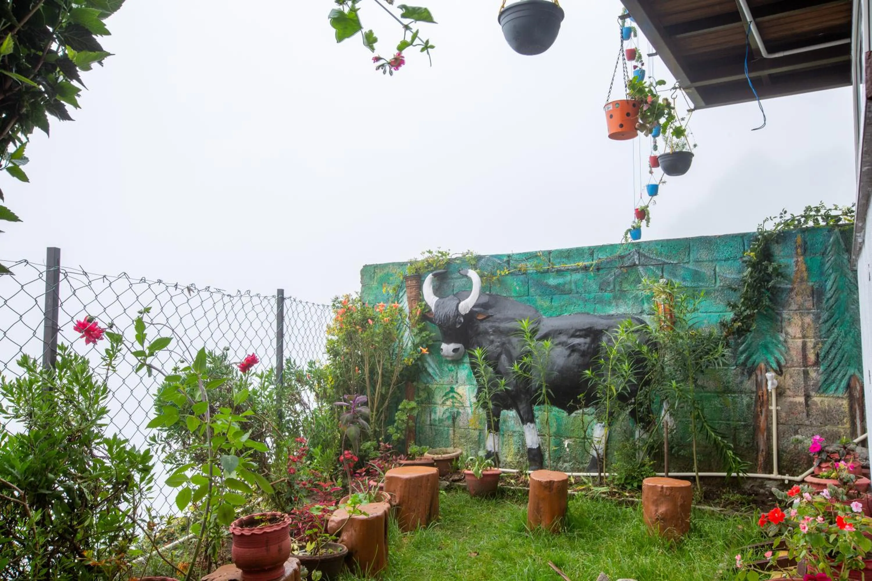 Garden in Syamantac Villa