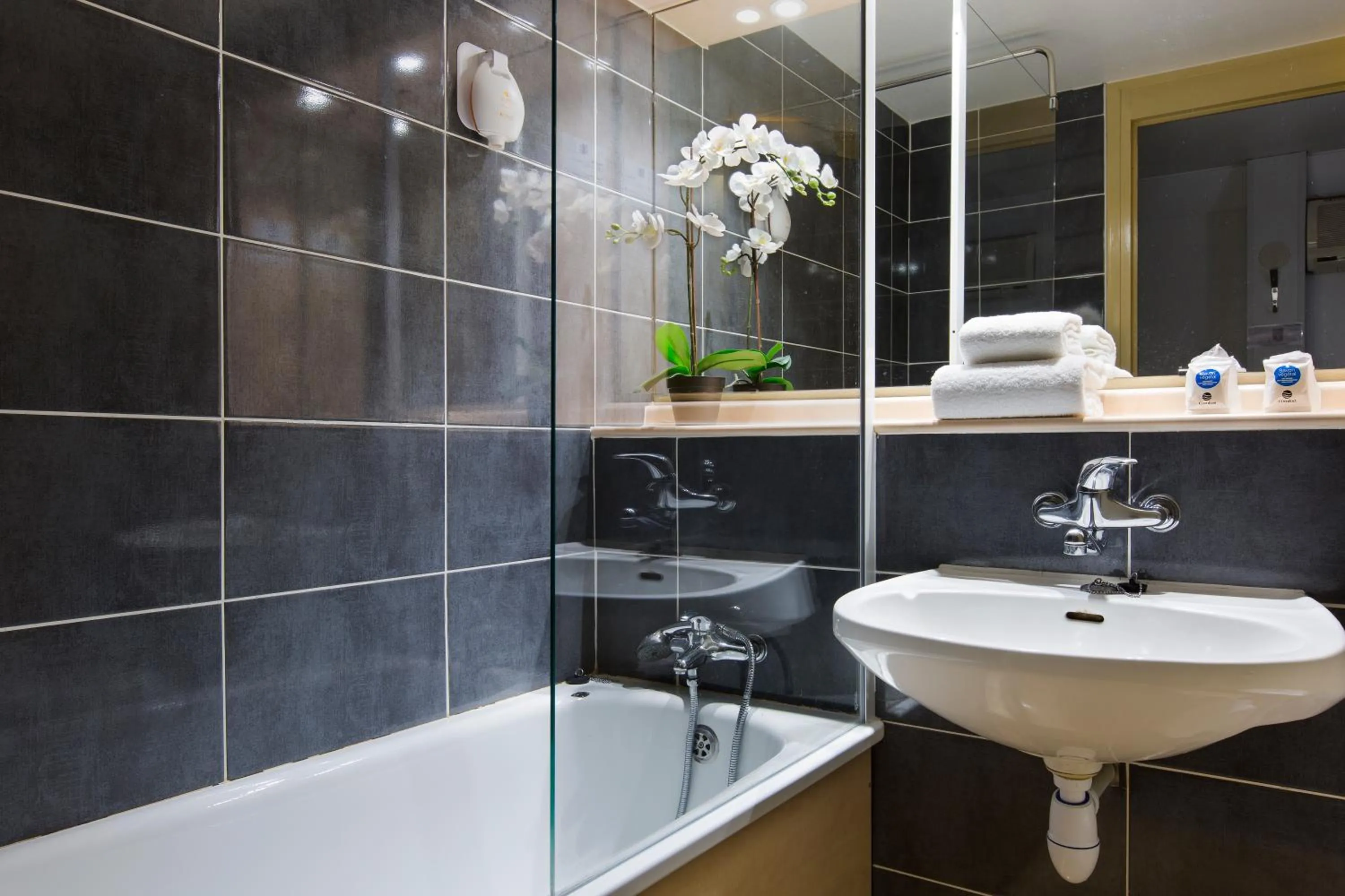 Bathroom in Comfort Hotel Grenoble Meylan