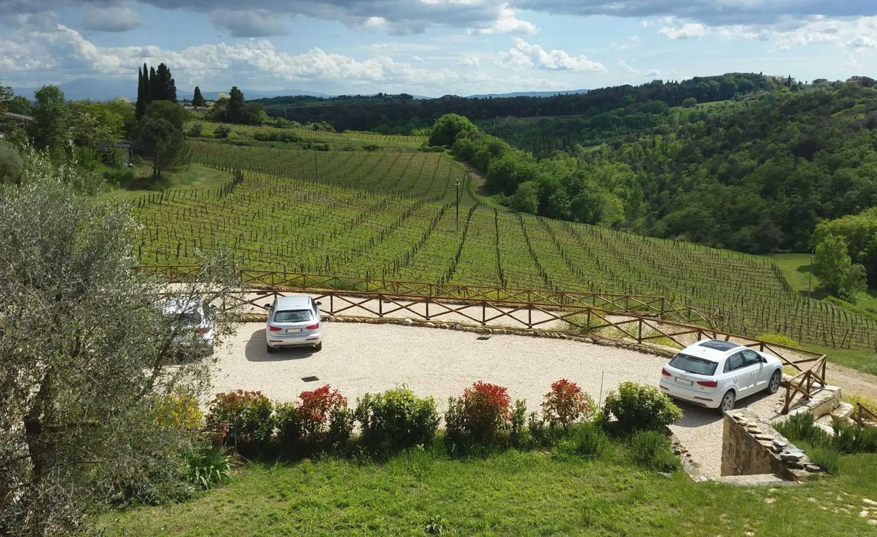 View (from property/room) in Chianti B&B Design infinity pool shared
