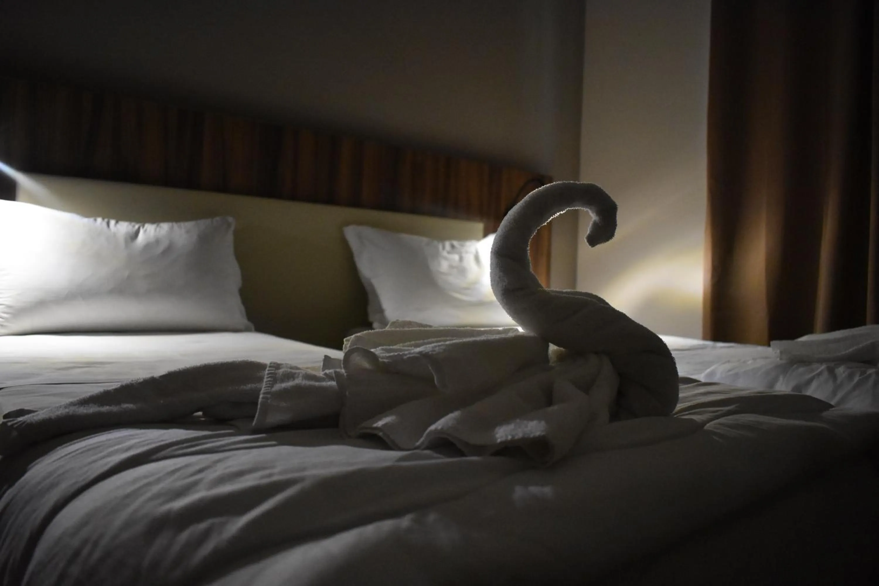 Bed in Hotel Ristorante La Rampina