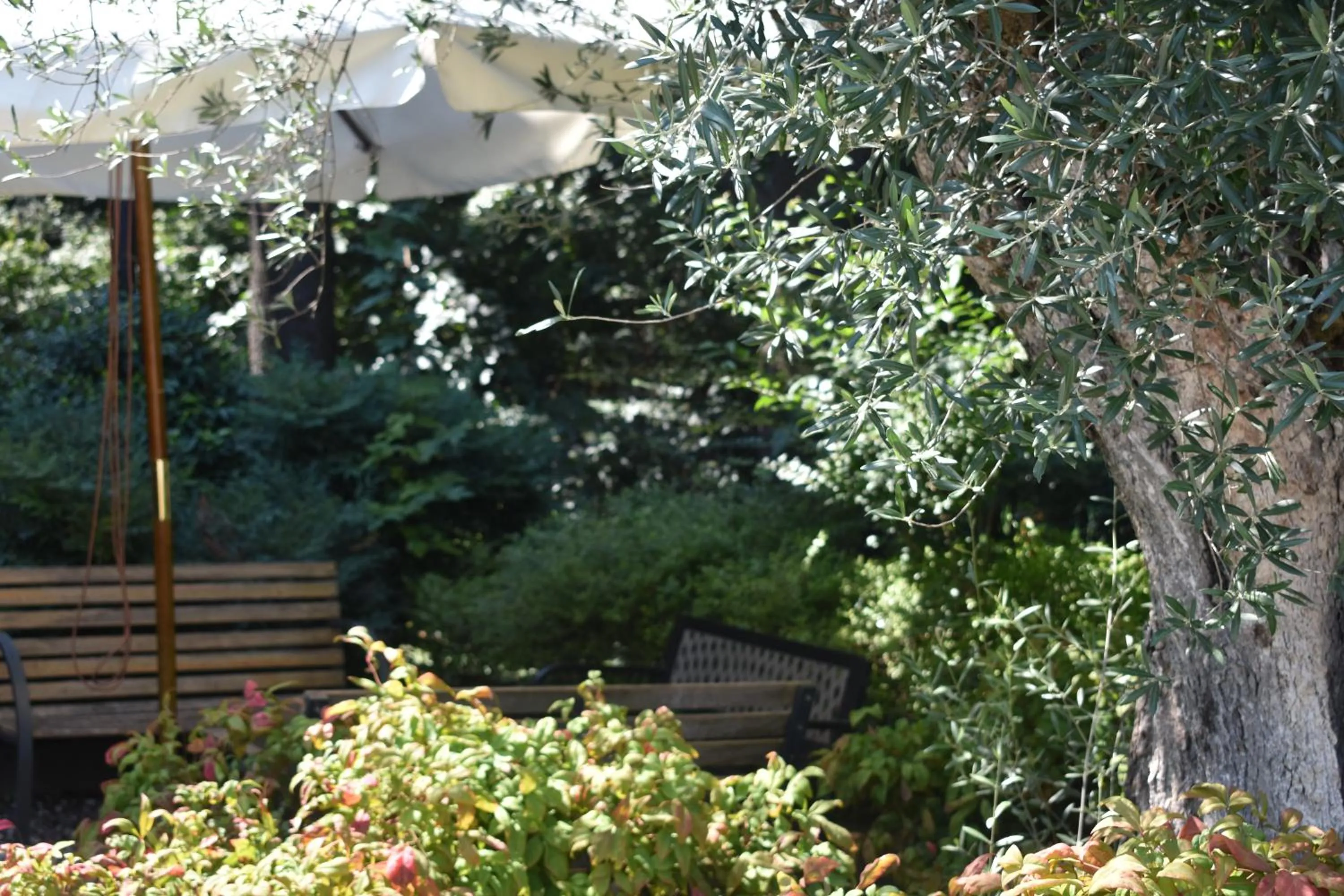 Garden in Hotel Ristorante La Rampina