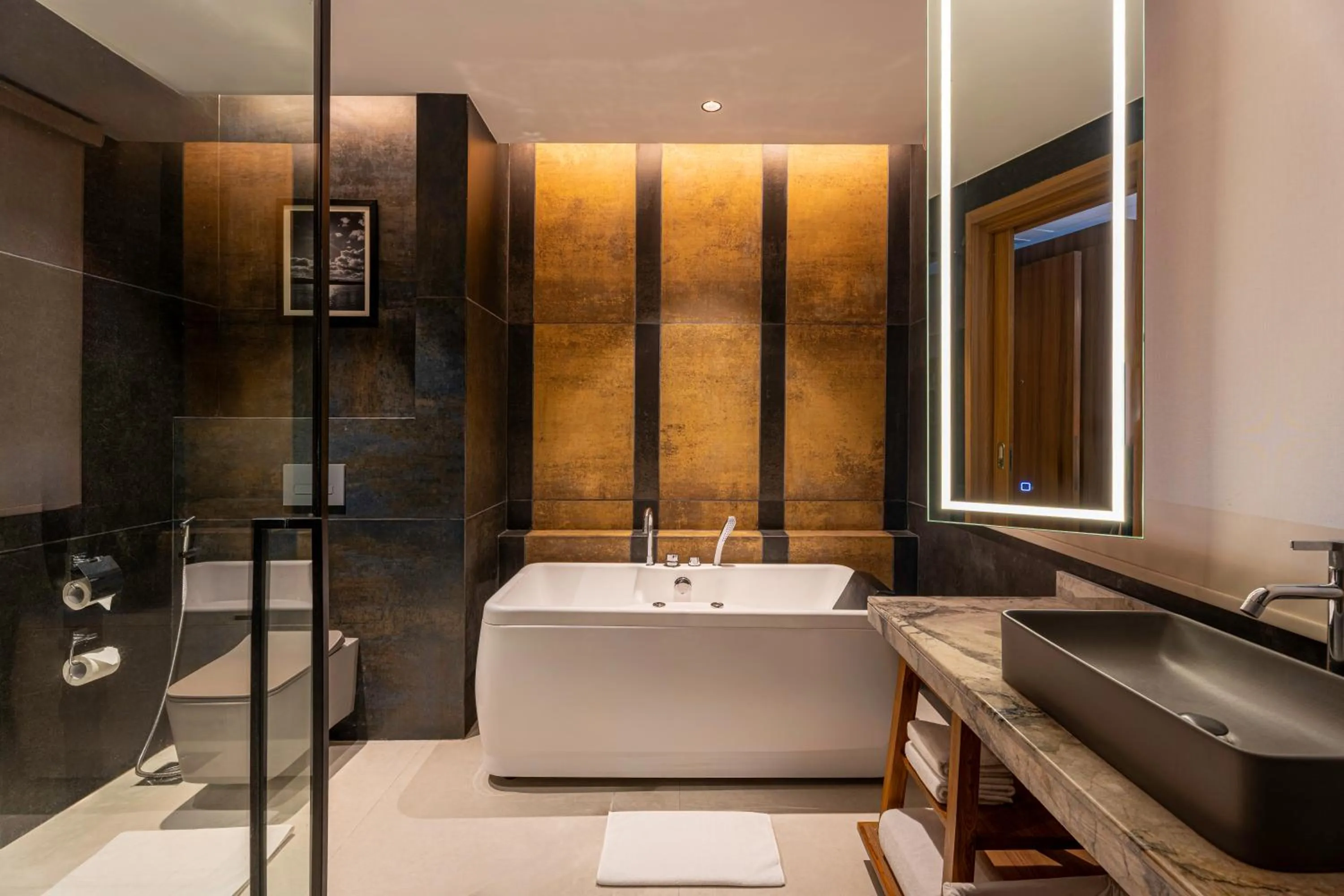 Shower in Radisson Blu Plaza Resort & Convention Centre Karjat