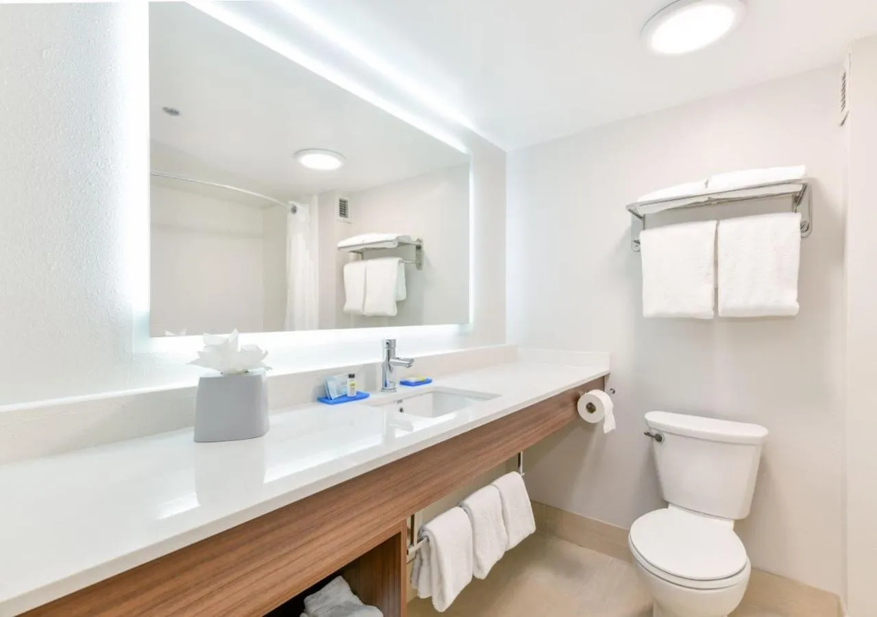 Bathroom in Holiday Inn Express Hotel & Suites Pigeon Forge by IHG