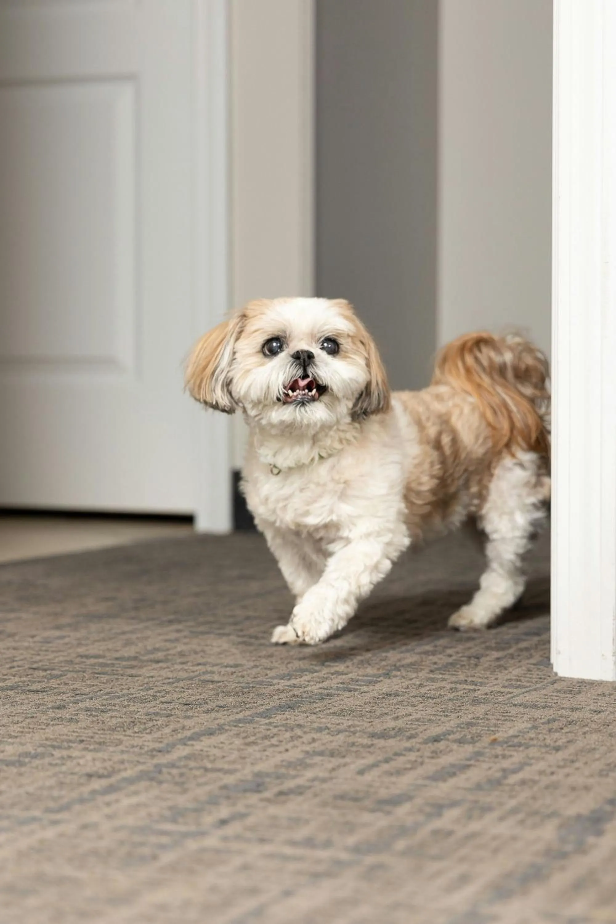 Photo of the whole room in Residence Inn Dayton North