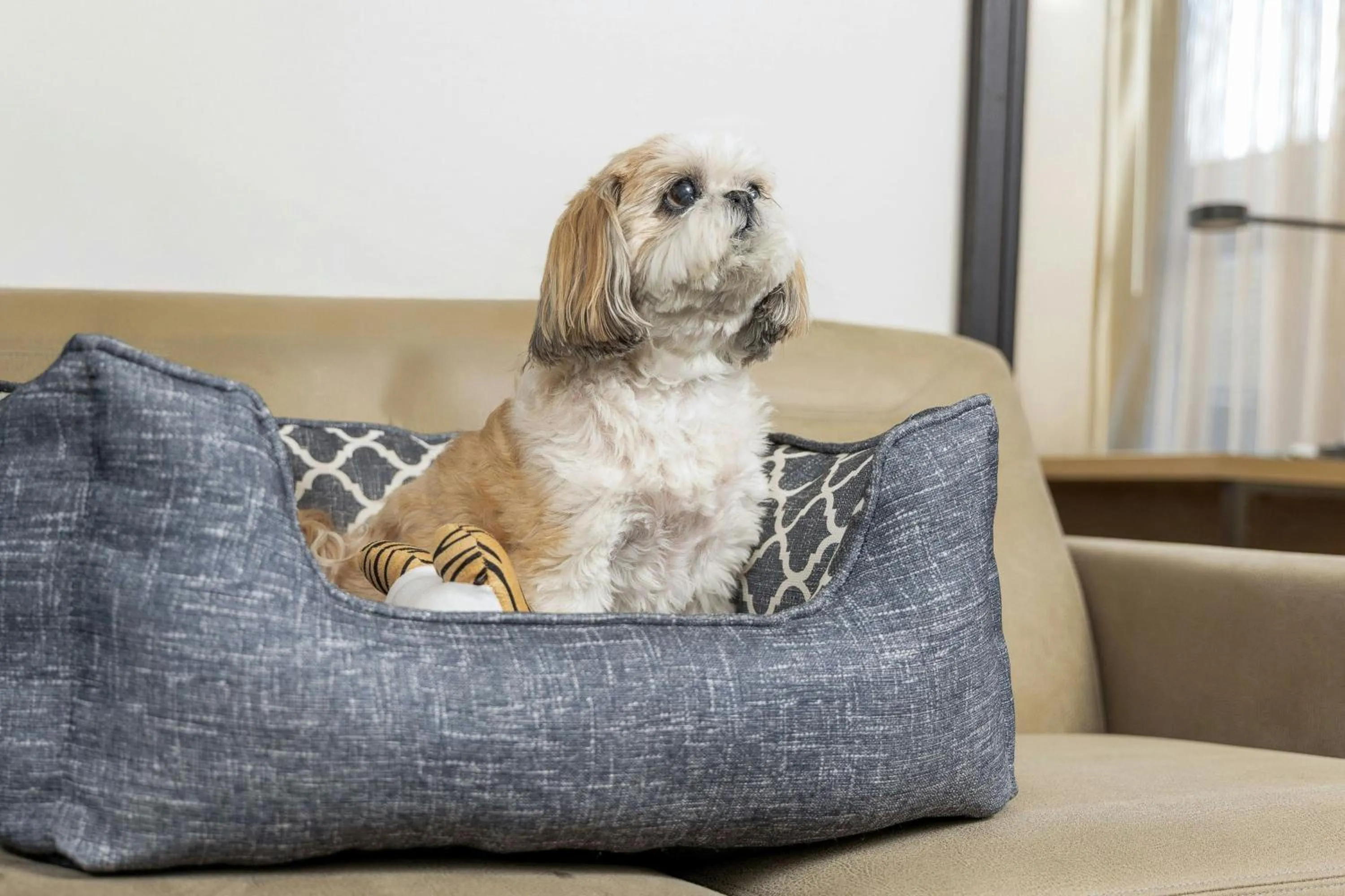 Photo of the whole room in Residence Inn Dayton North