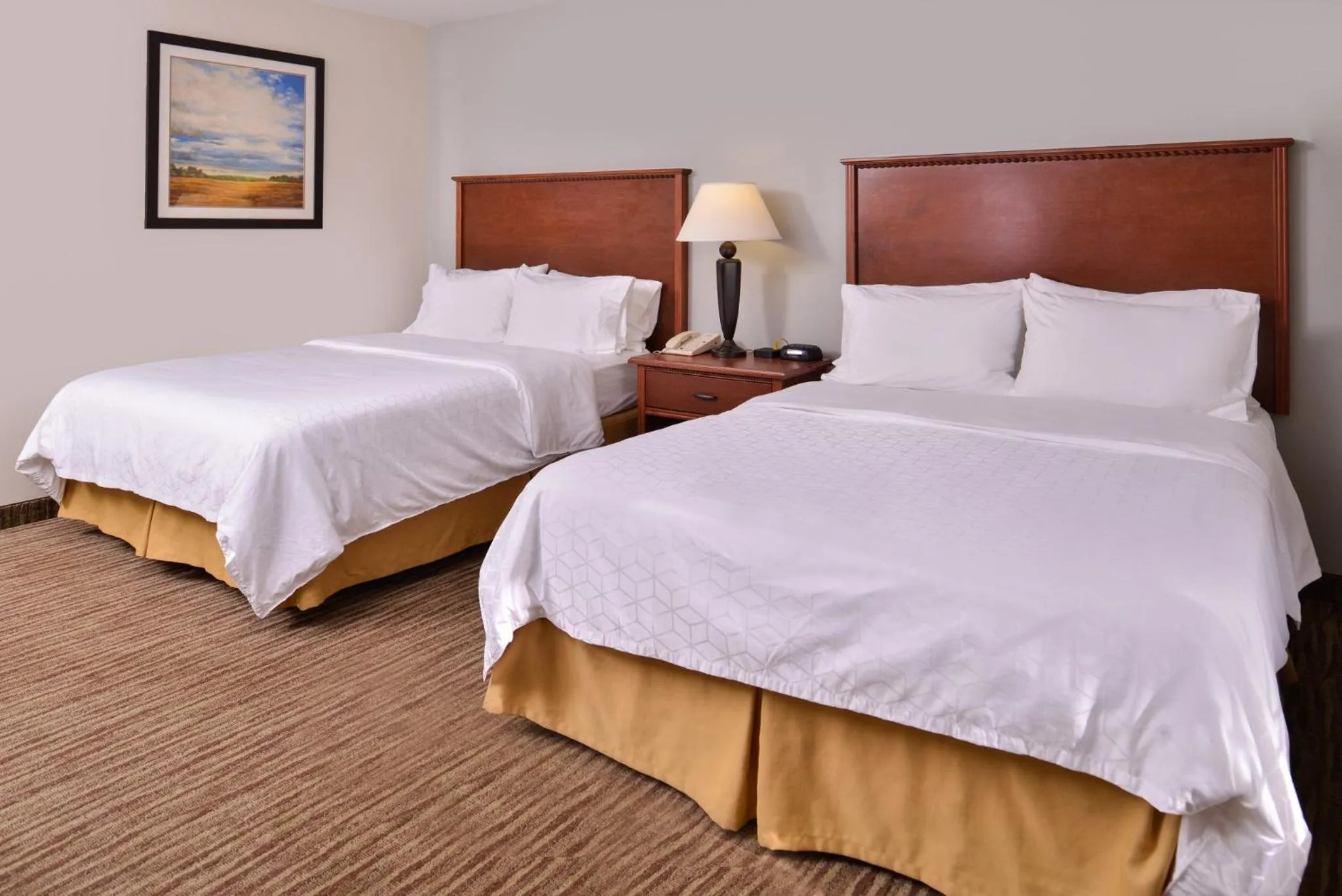 Photo of the whole room, Bed in Holiday Inn Express Hotel & Suites Sioux Falls At Empire Mall by IHG