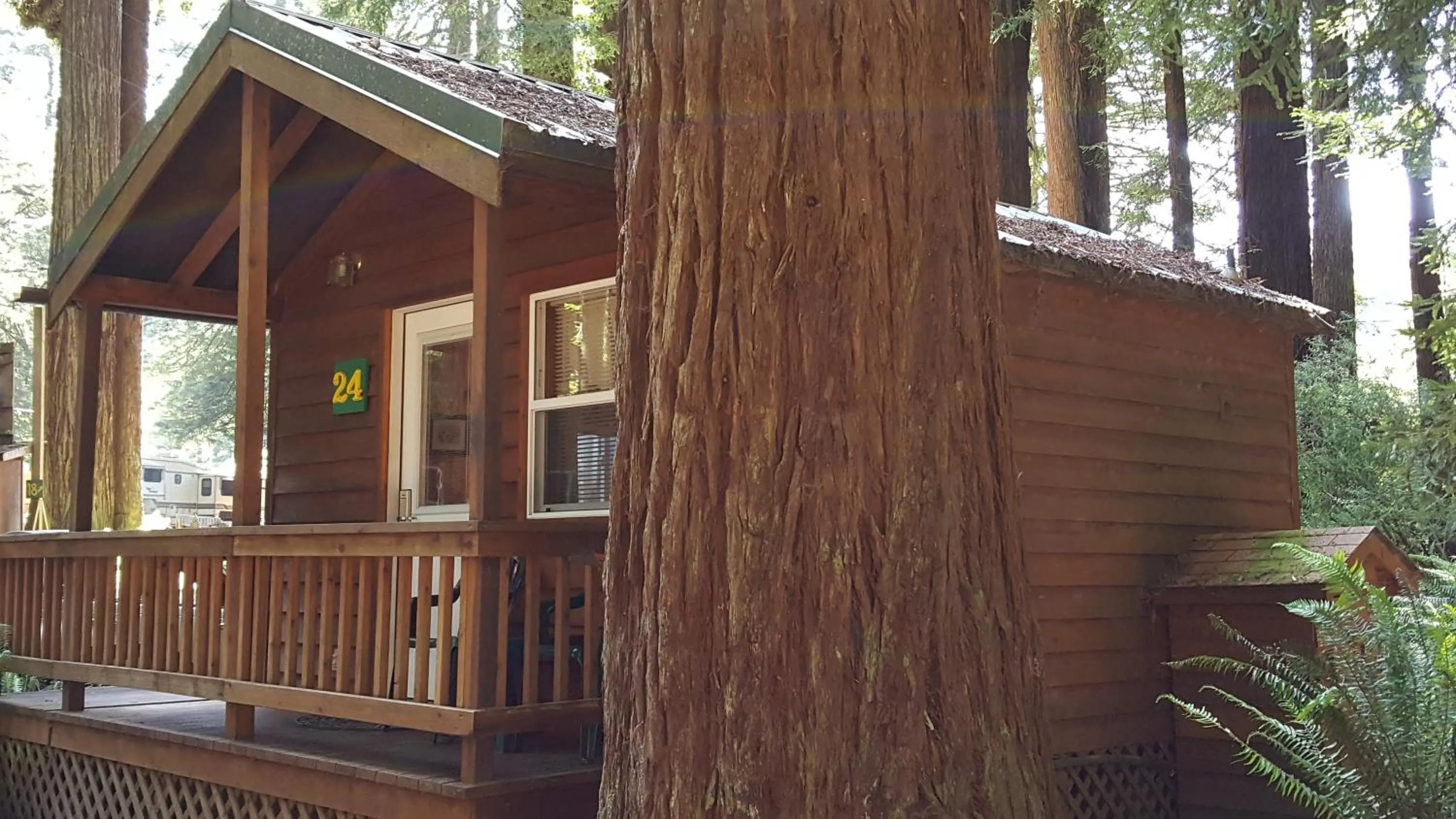 Property building in Emerald Forest Cabins