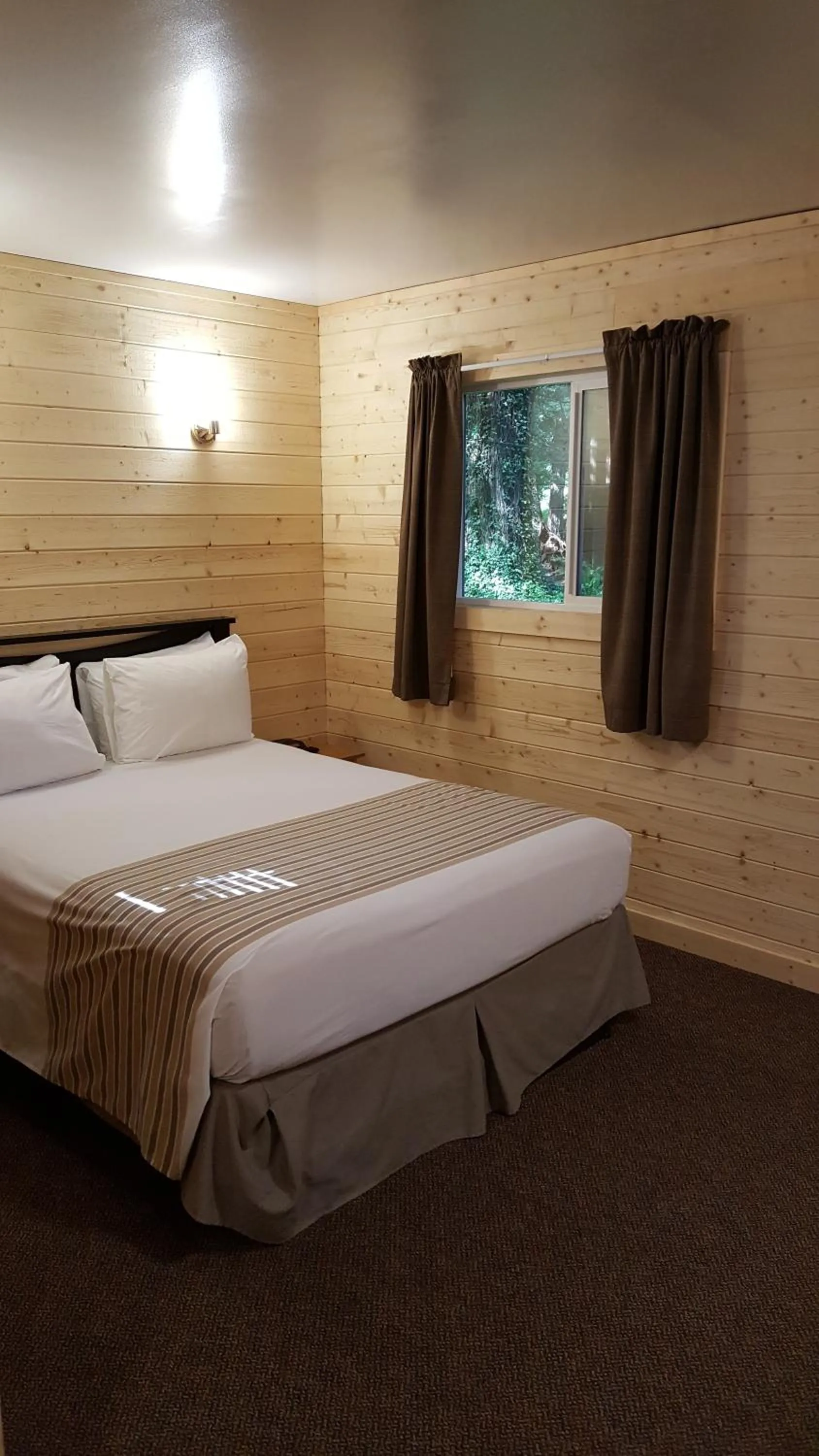 Deluxe Double Room with Shower (No Pets Allowed) in Emerald Forest Cabins